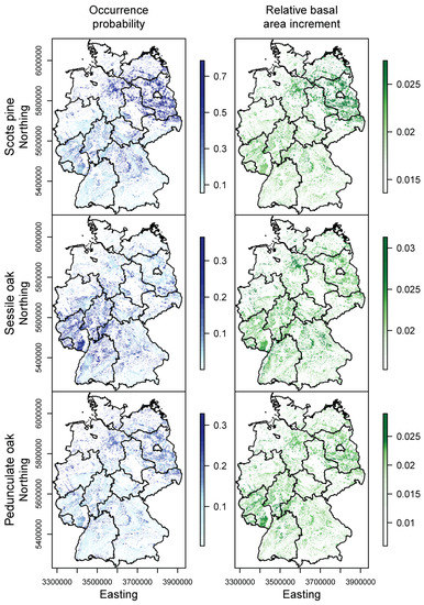 Forests 08 00181 g011b 550