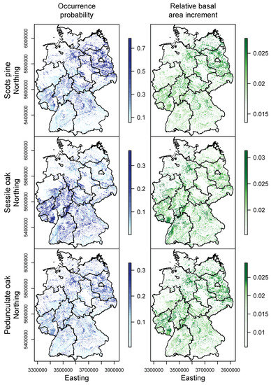 Forests 08 00181 g012b 550