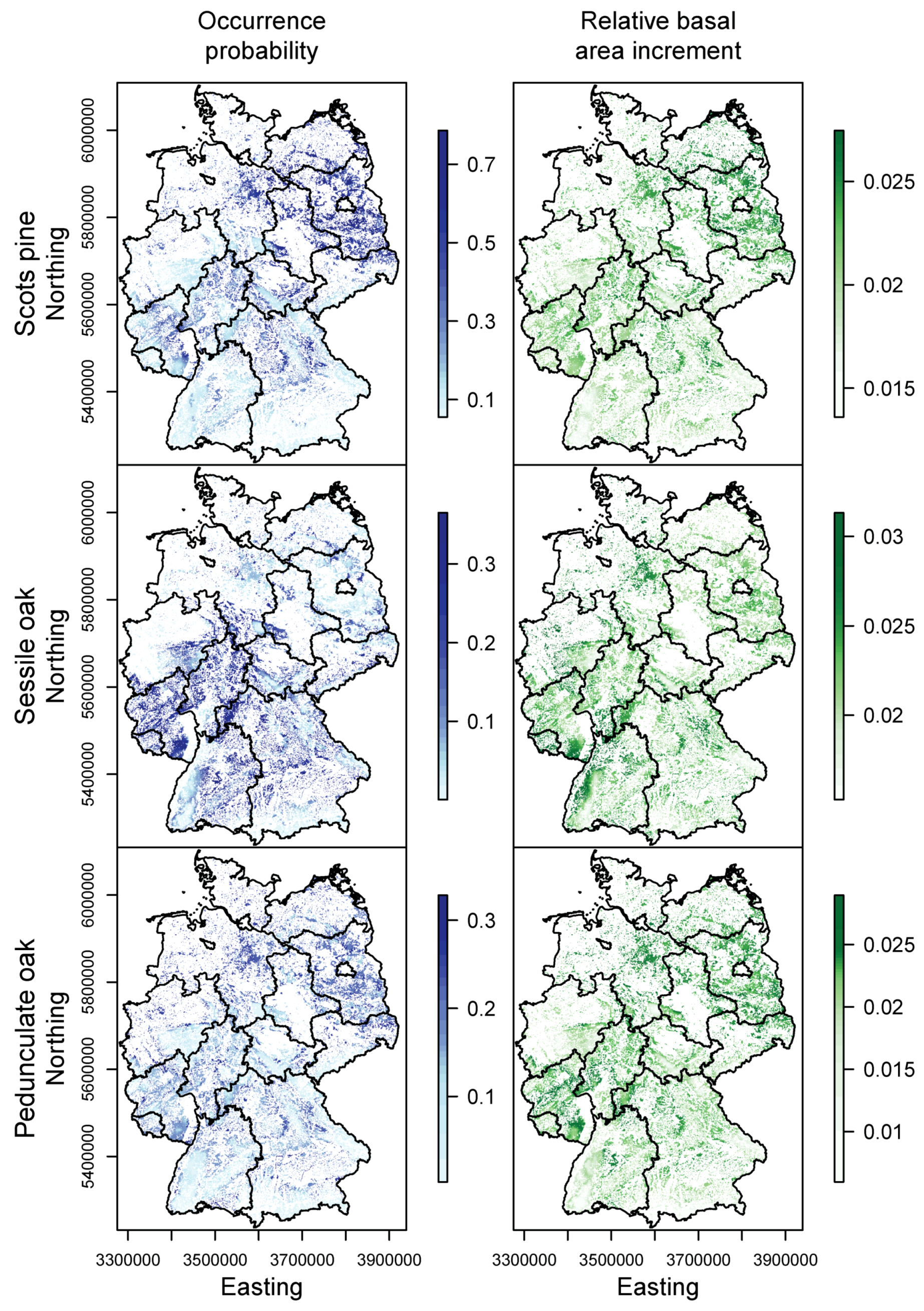 Forests 08 00181 g012b