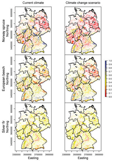 Forests 08 00181 g013a 550