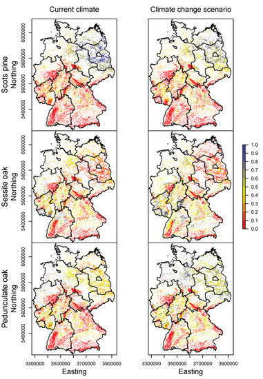 Forests 08 00181 g013b 550
