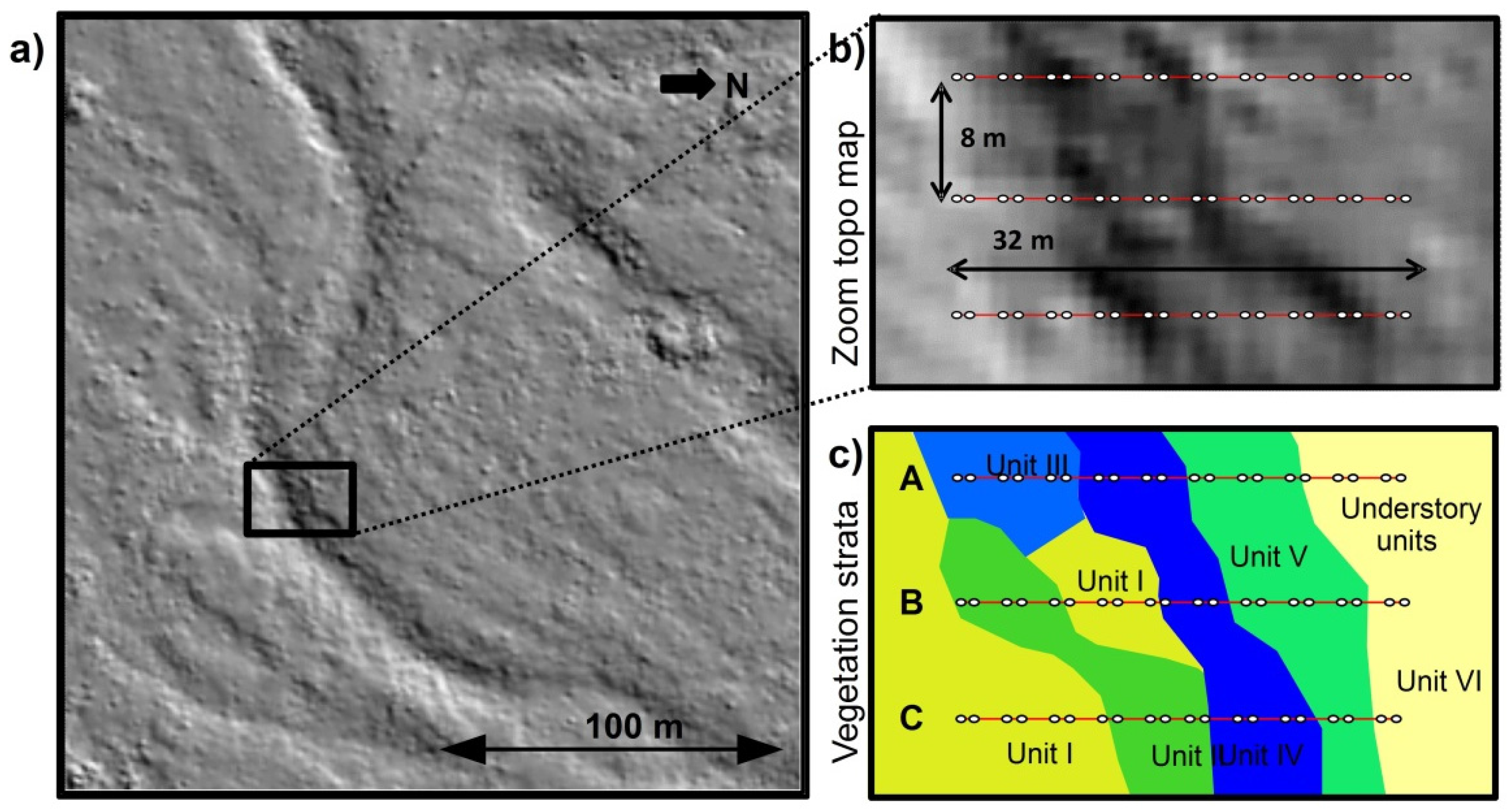 Forests 08 00193 g001a