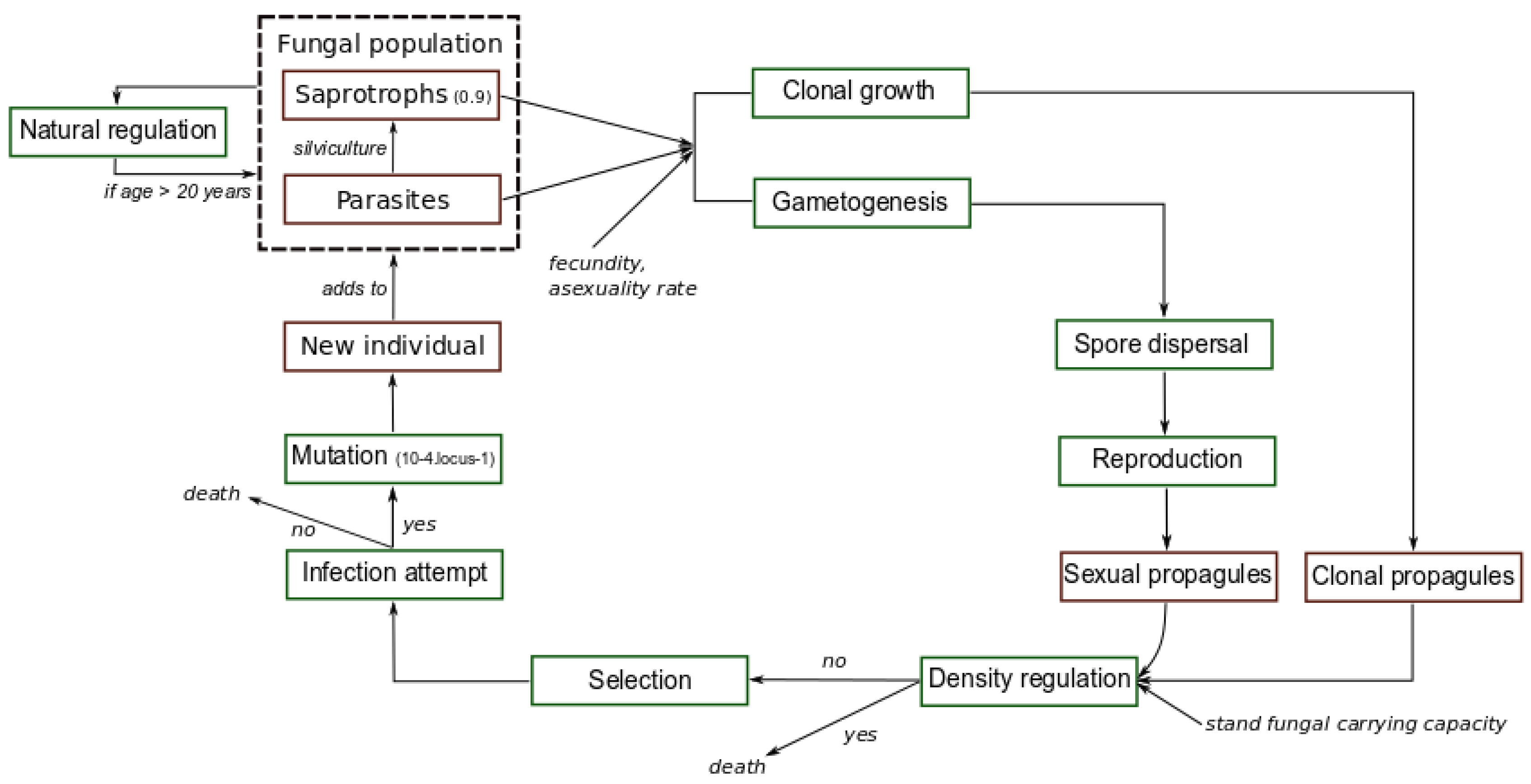 Forests 08 00205 g001