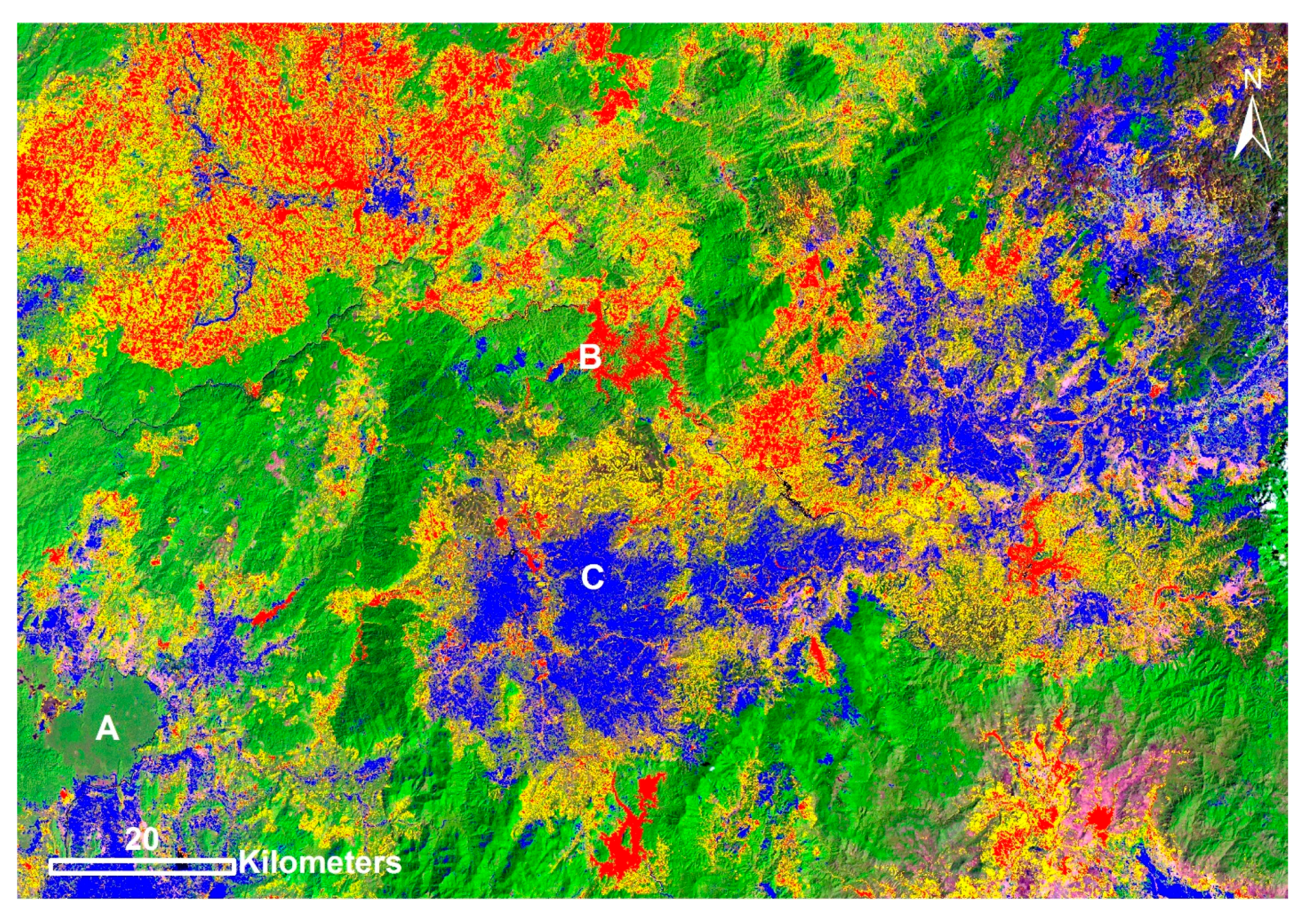Forests 08 00238 g007