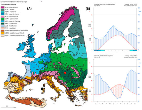 Forests 08 00241 g008 550