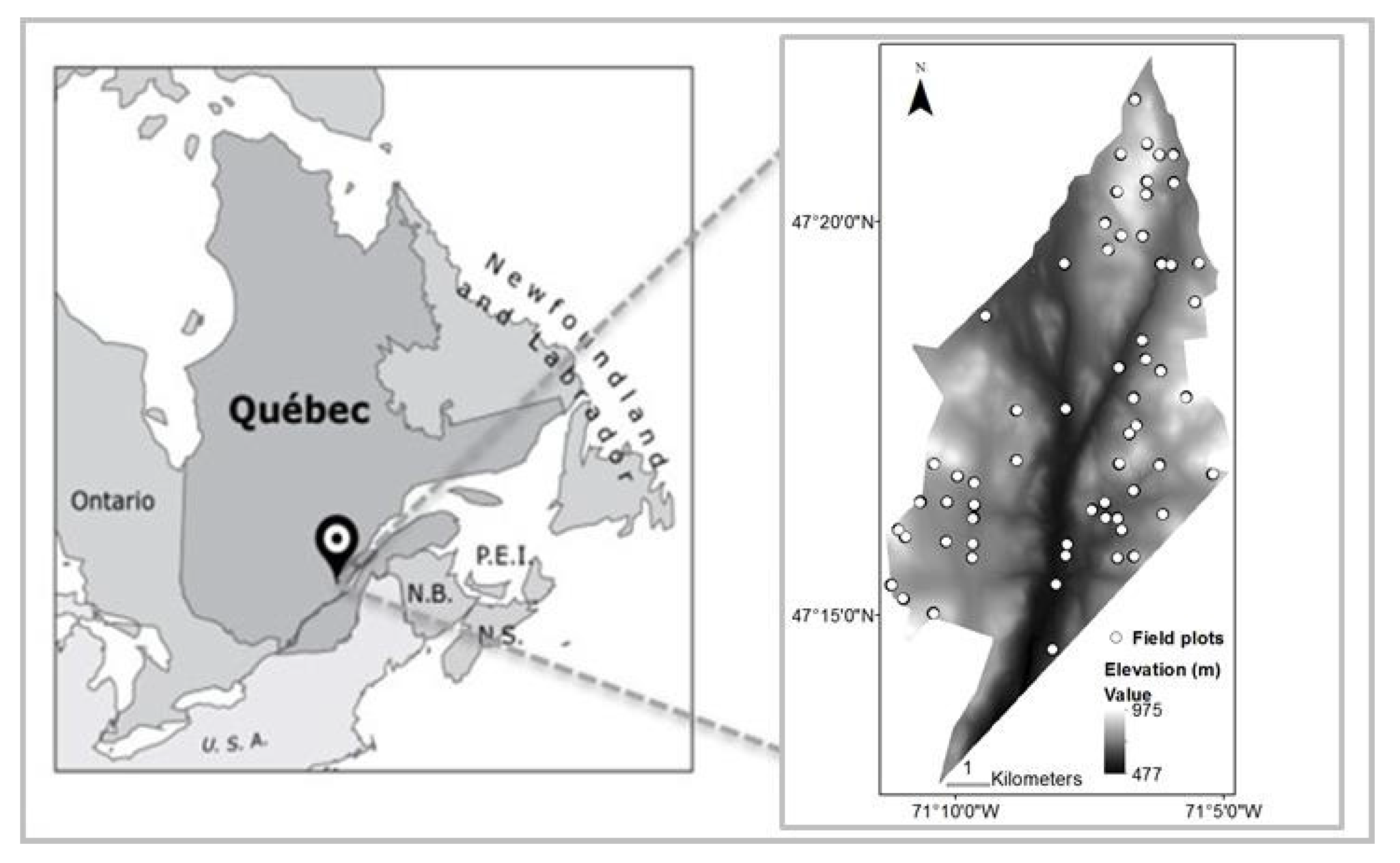 Forests 08 00253 g001
