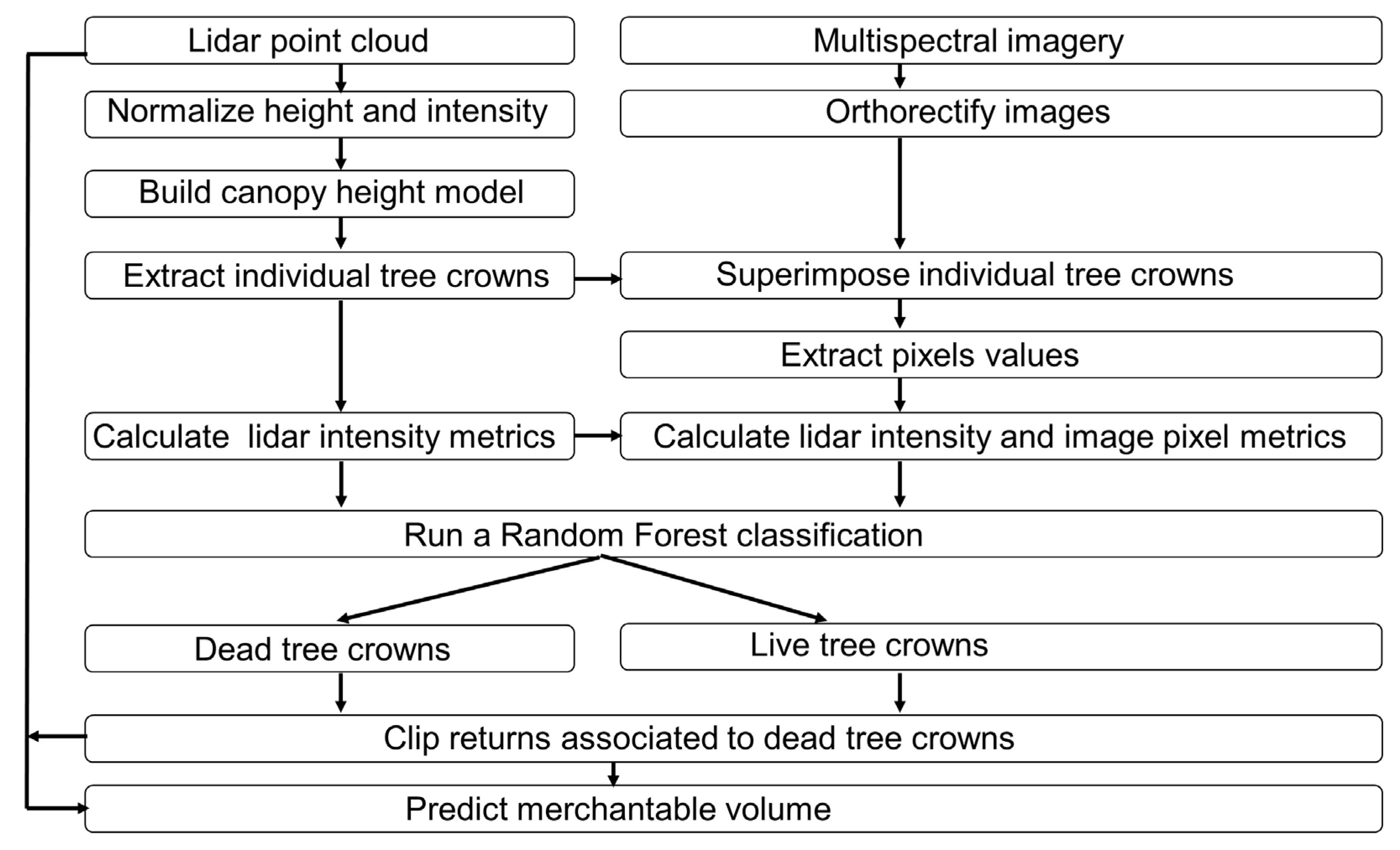 Forests 08 00253 g002