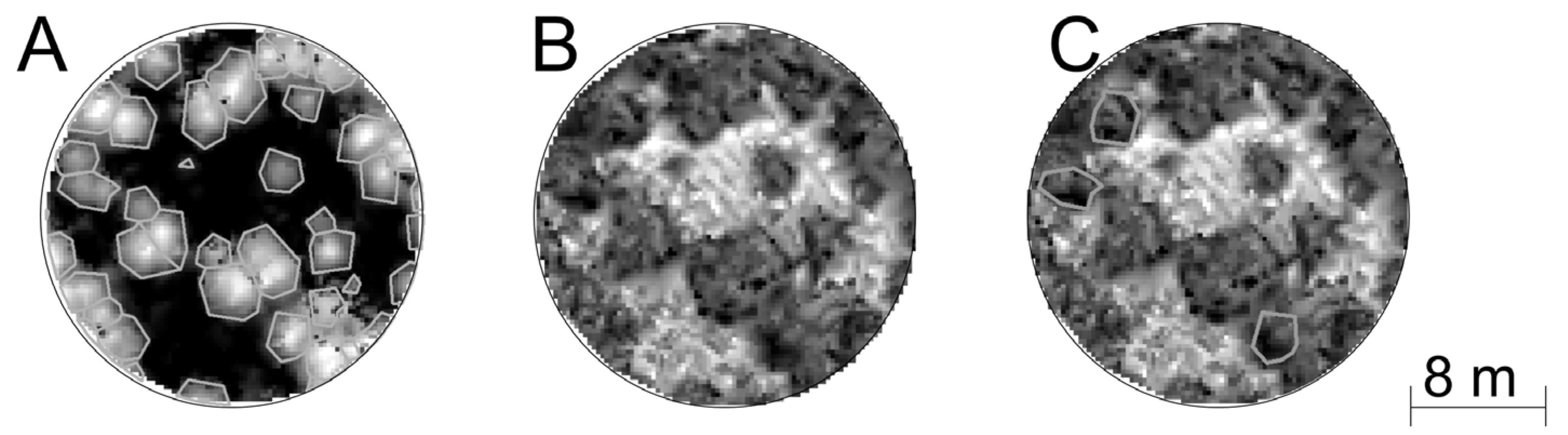 Forests 08 00253 g004