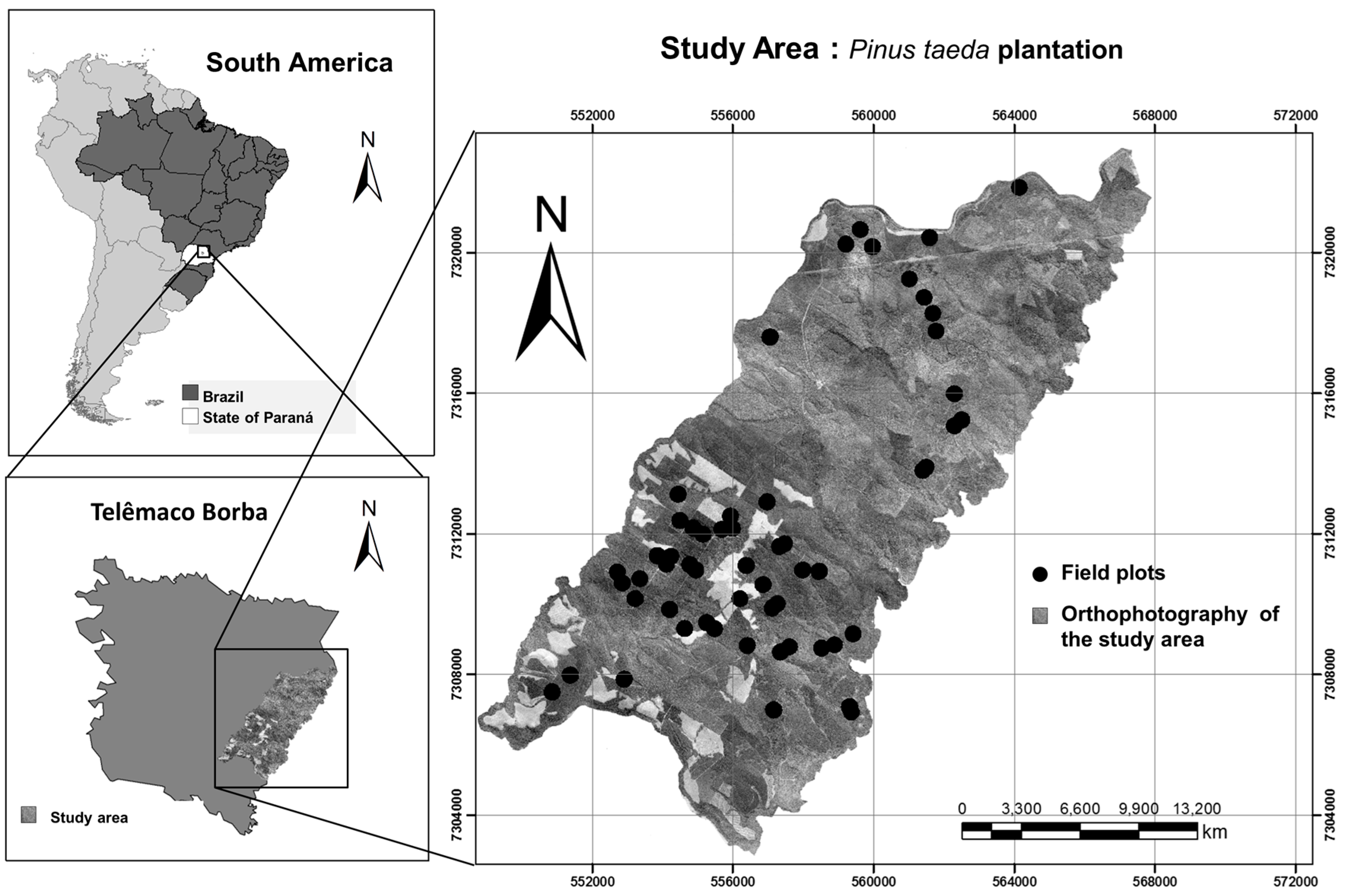 Forests 08 00254 g001