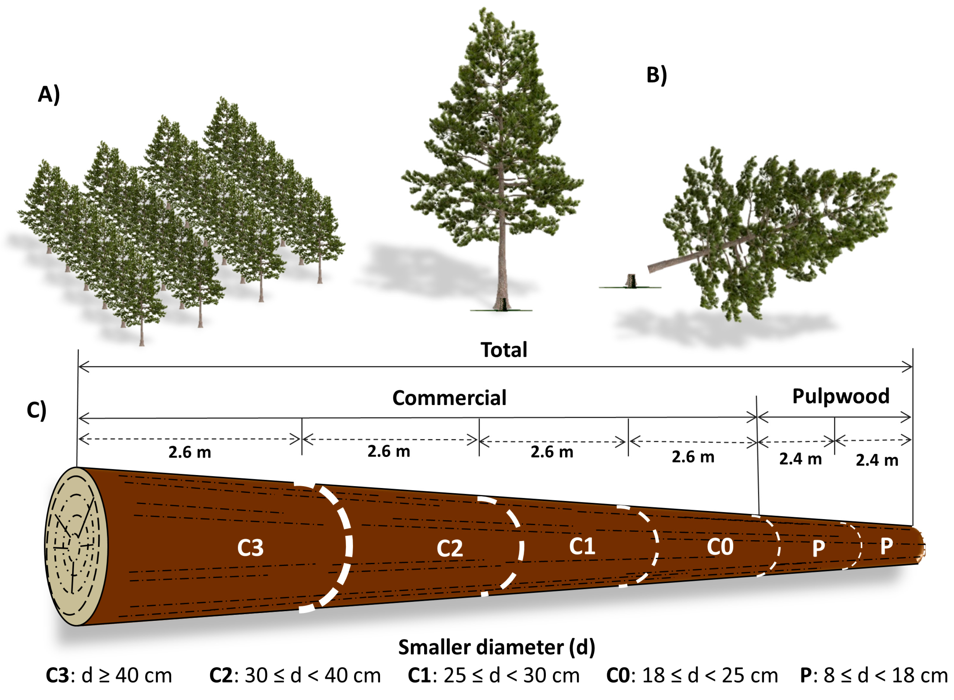 Forests 08 00254 g002