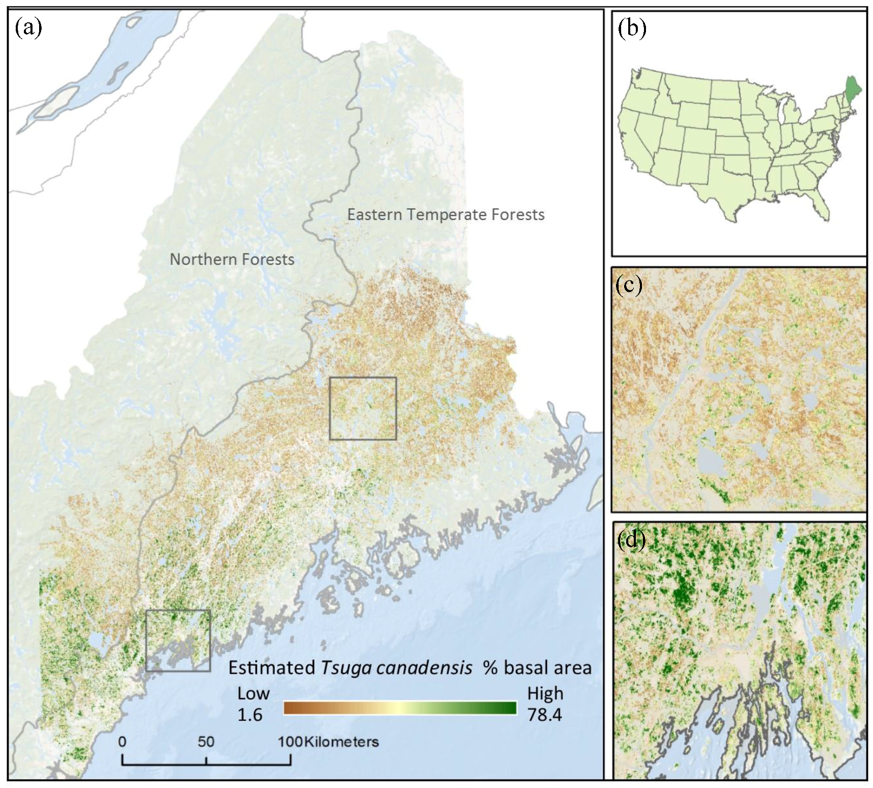 Forests 08 00285 g001