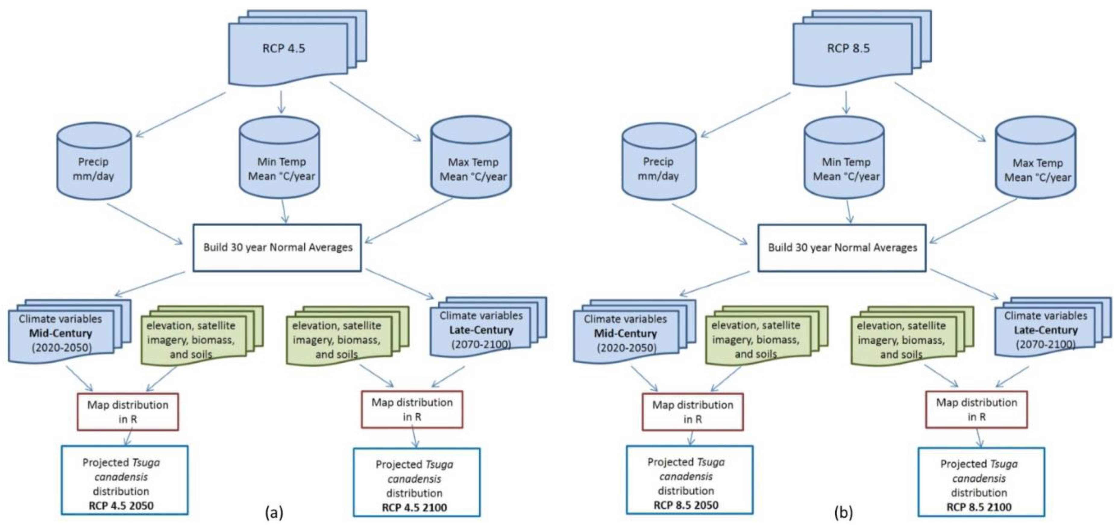 Forests 08 00285 g002