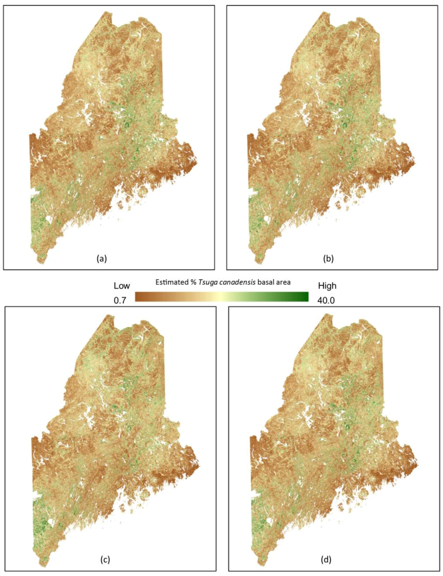 Forests 08 00285 g005
