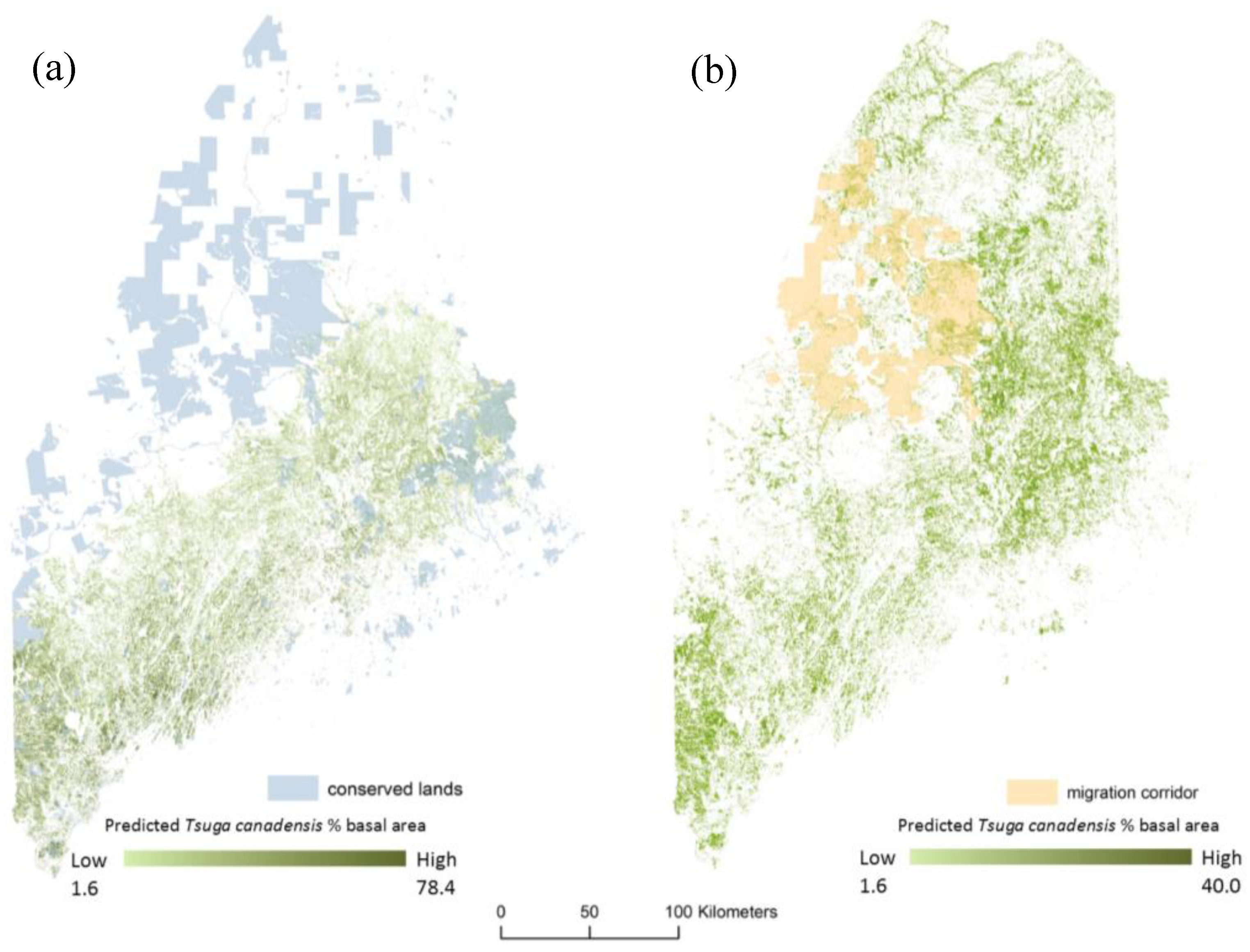 Forests 08 00285 g008