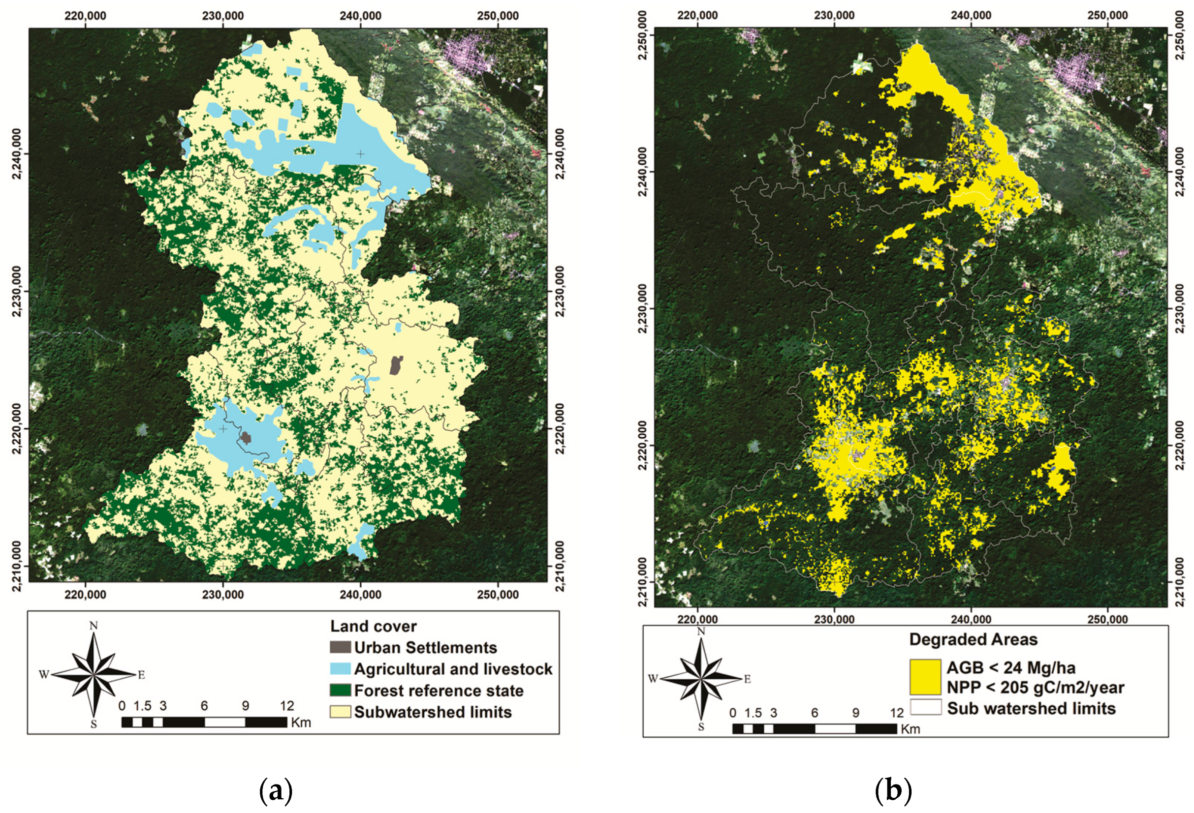 Forests 08 00302 g006