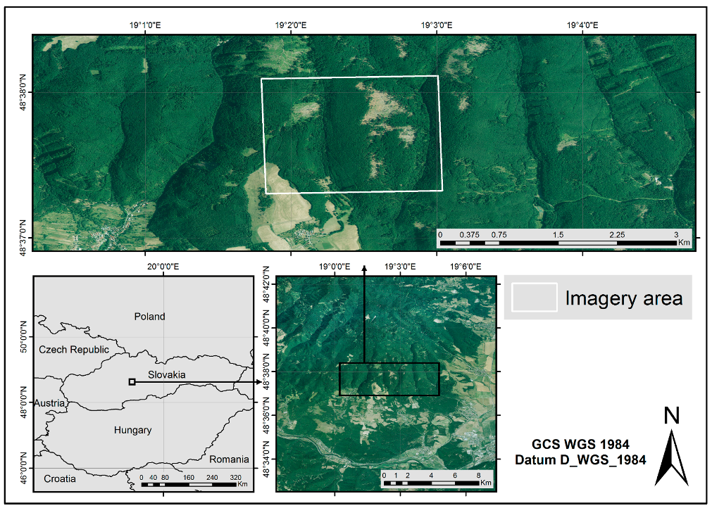 Forests 08 00306 g001