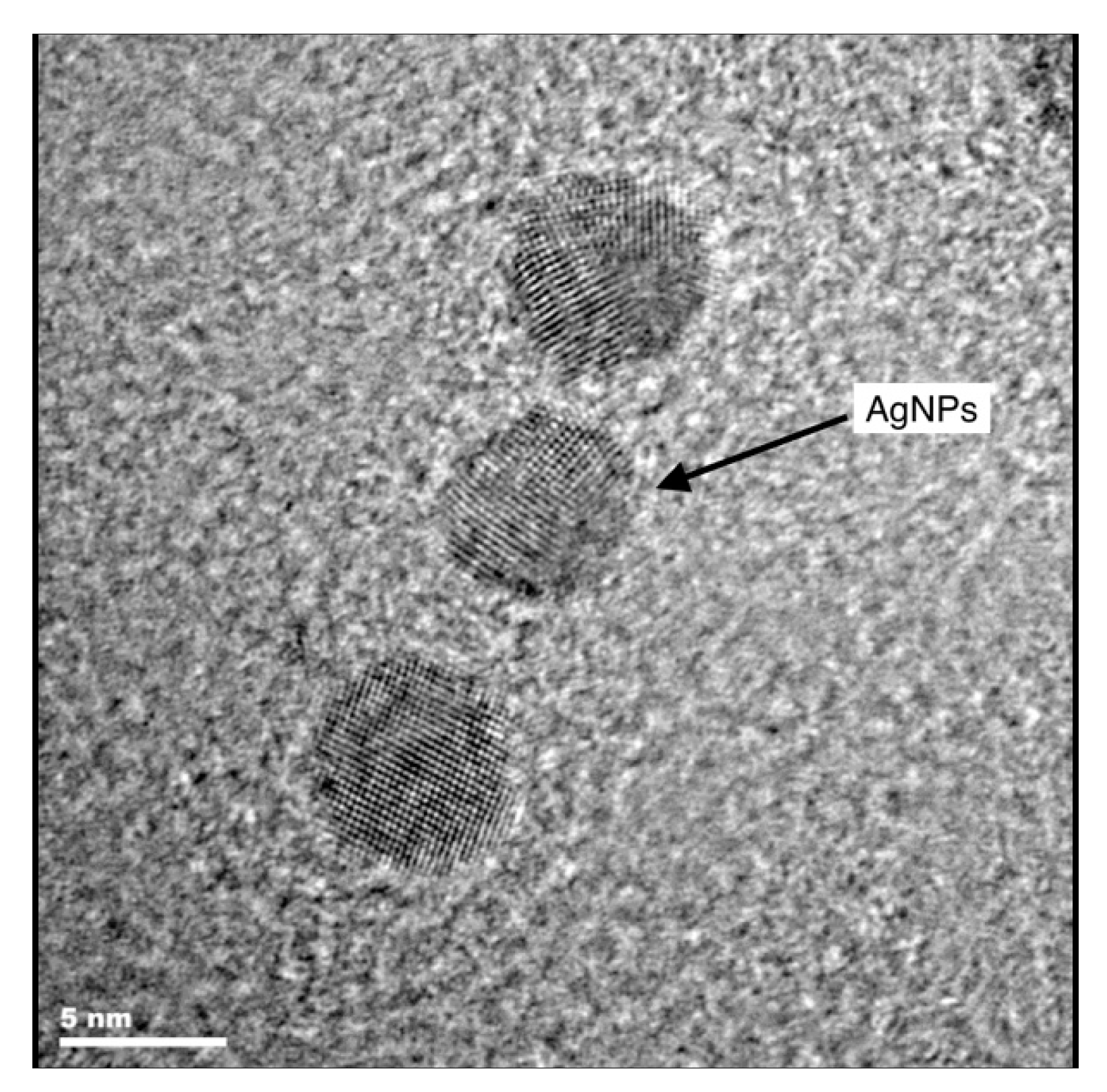 Forests 08 00310 g001