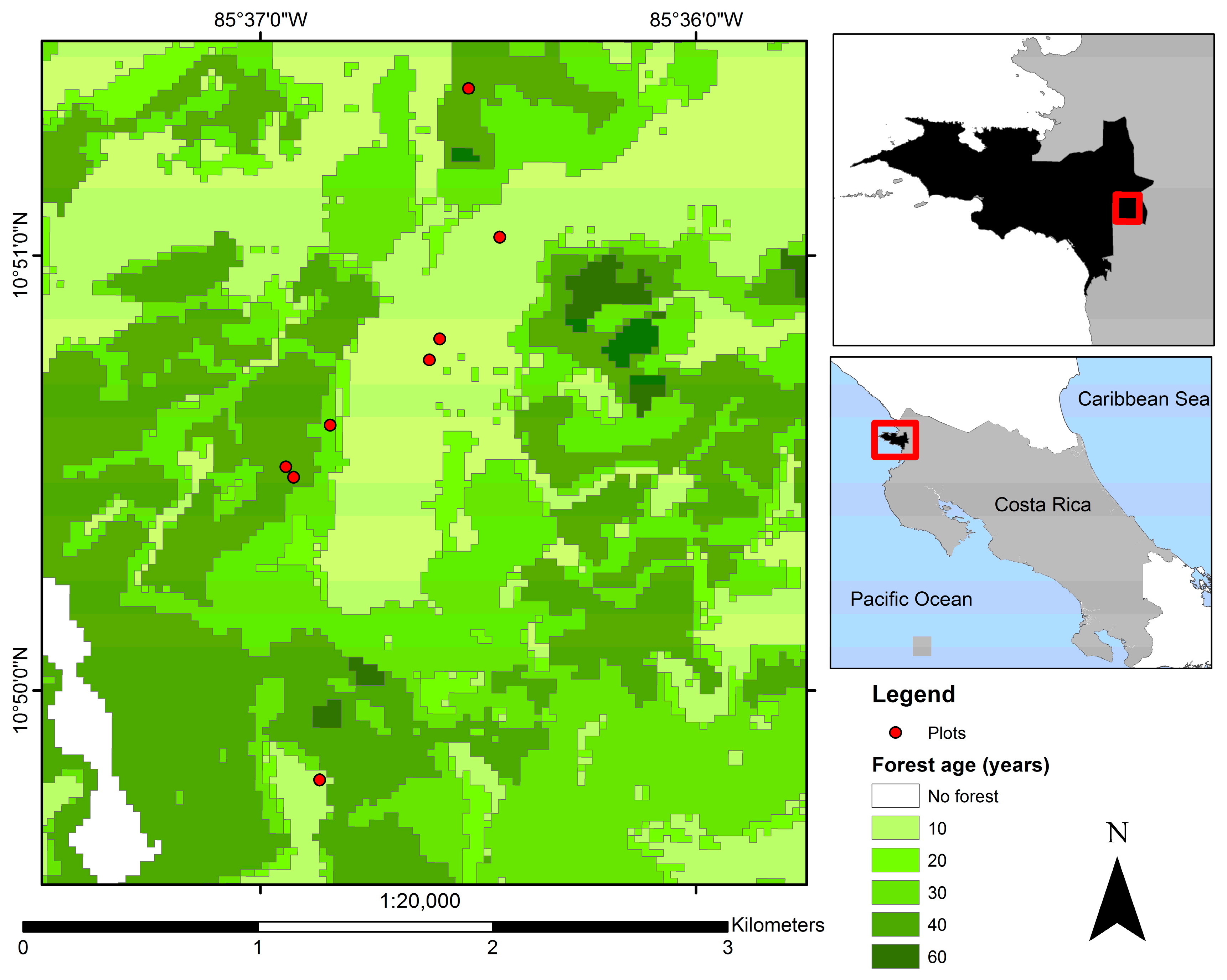Forests 08 00311 g001