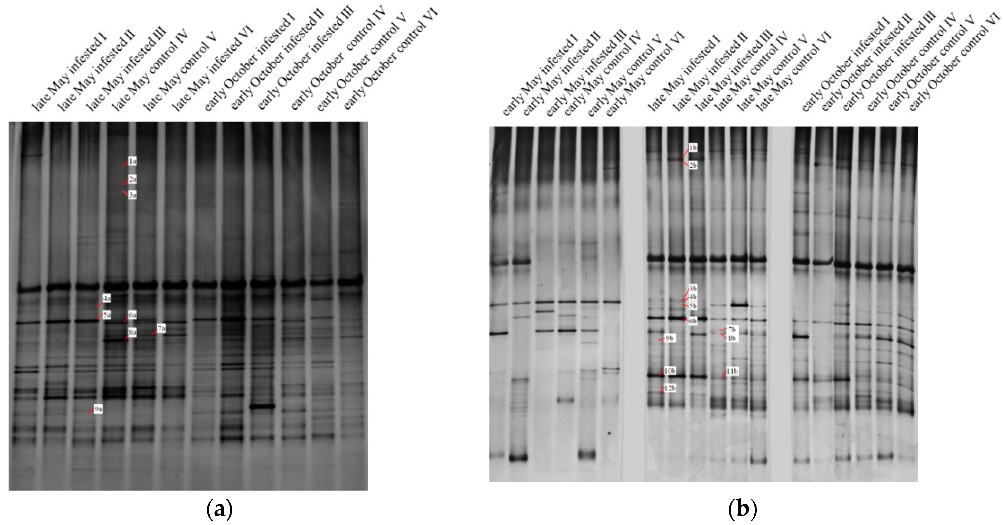 Forests 08 00316 g002