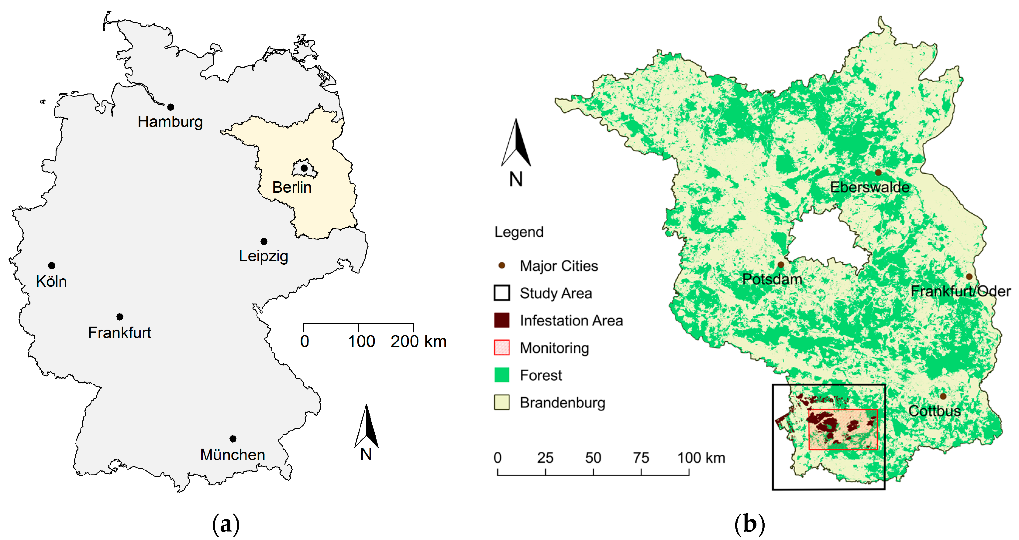 Forests 08 00319 g001