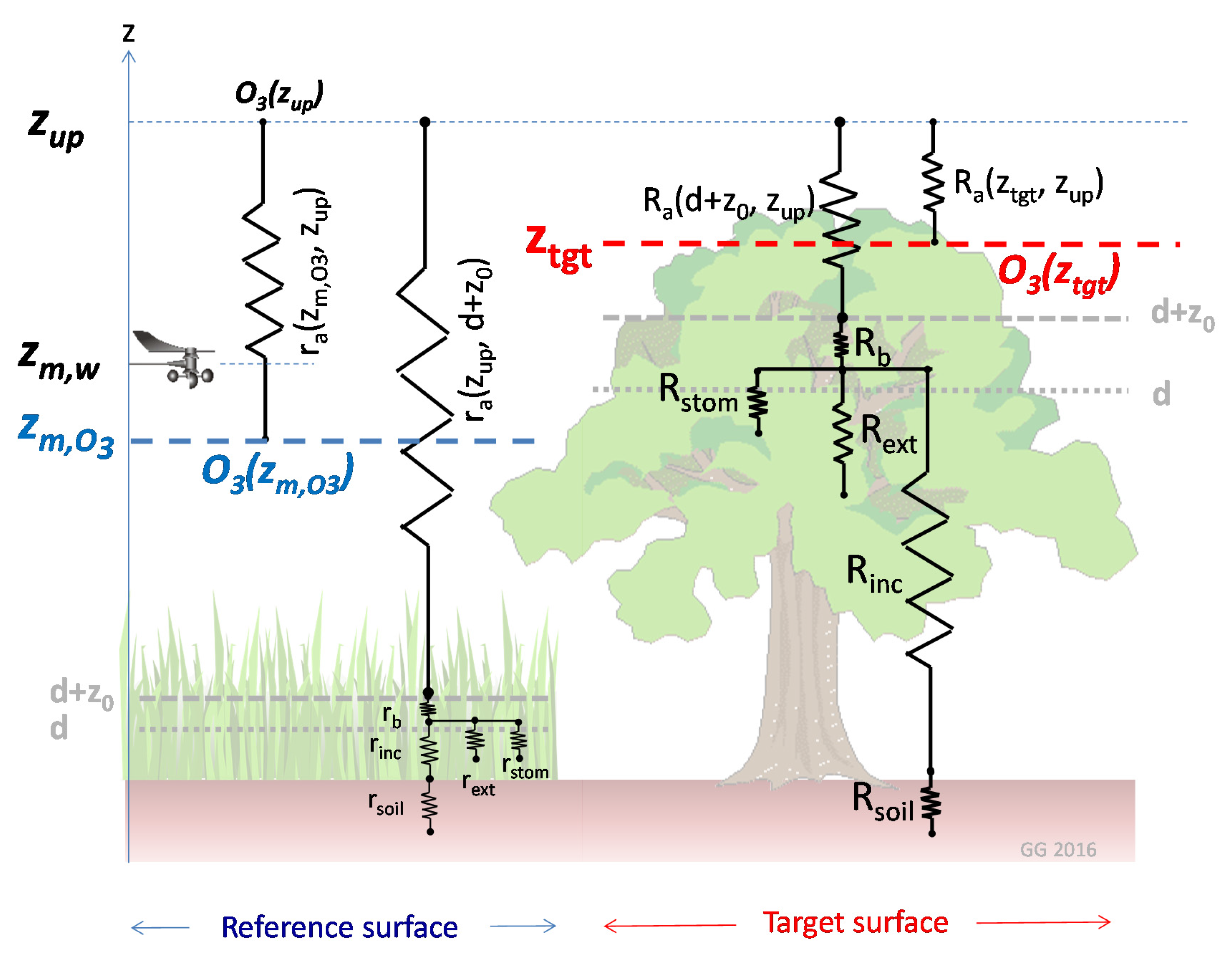 Forests 08 00337 g002