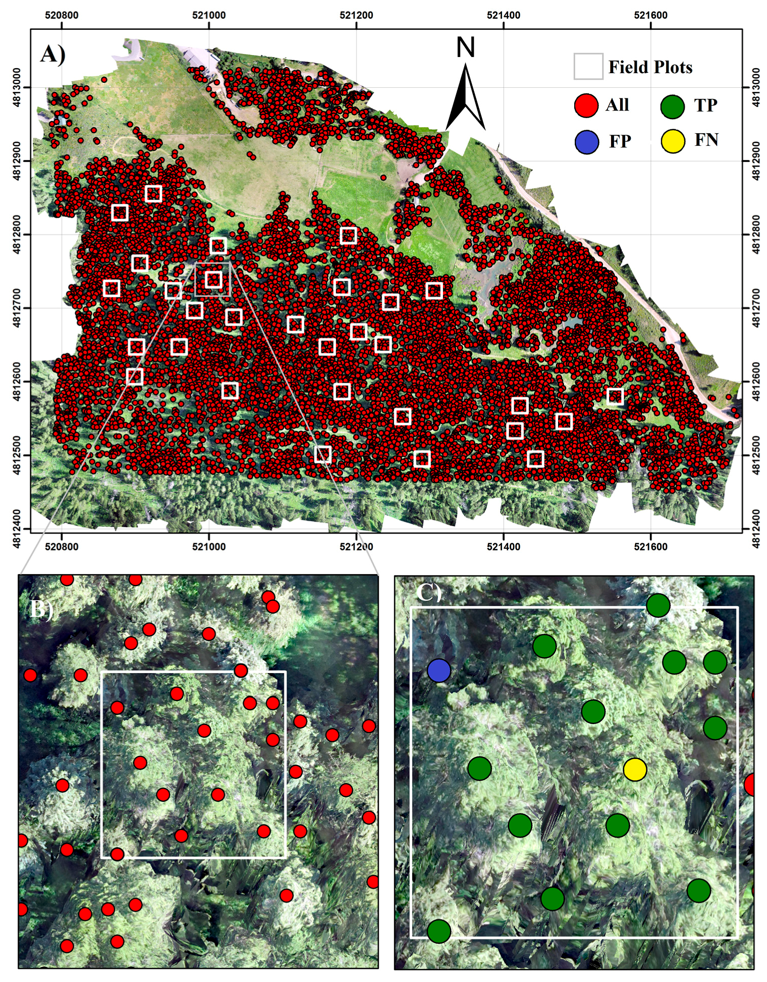 Forests 08 00340 g004