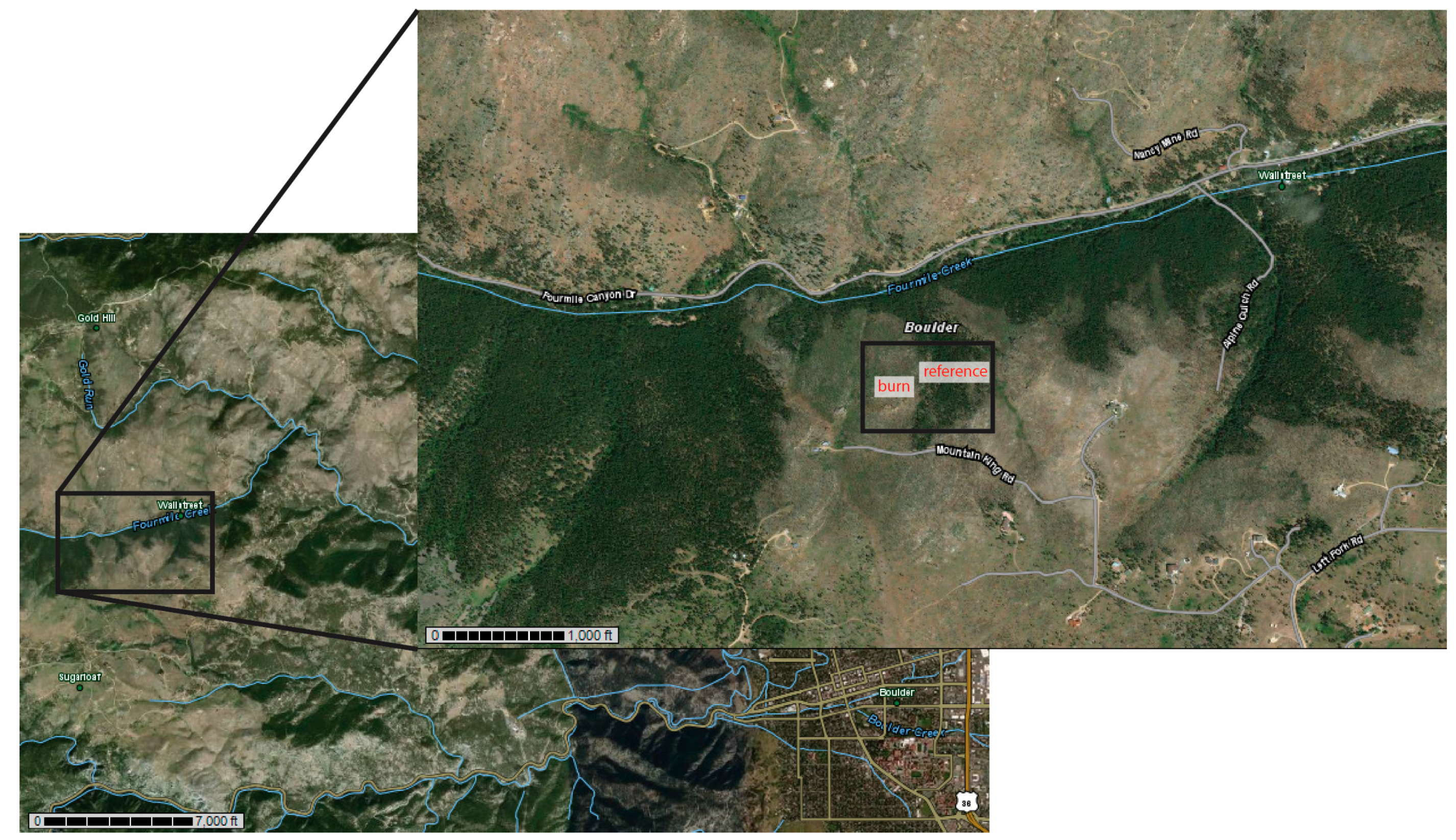 Forests 08 00347 g001