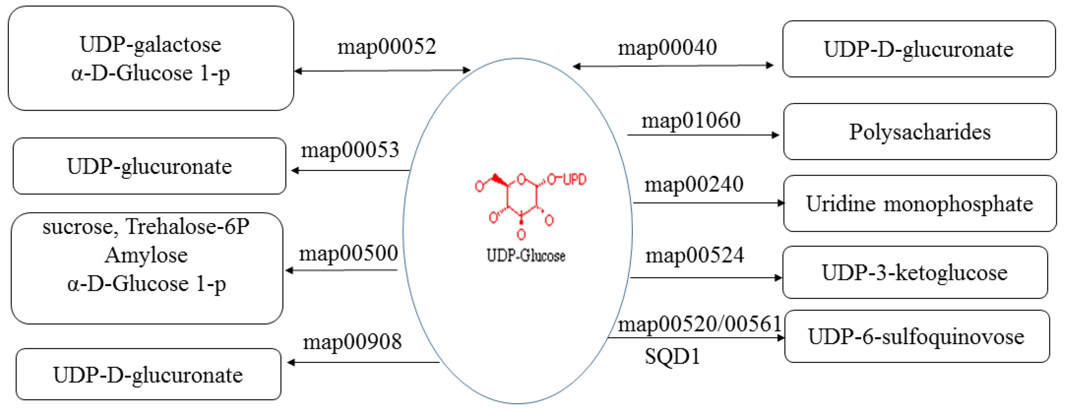 Forests 08 00348 g006