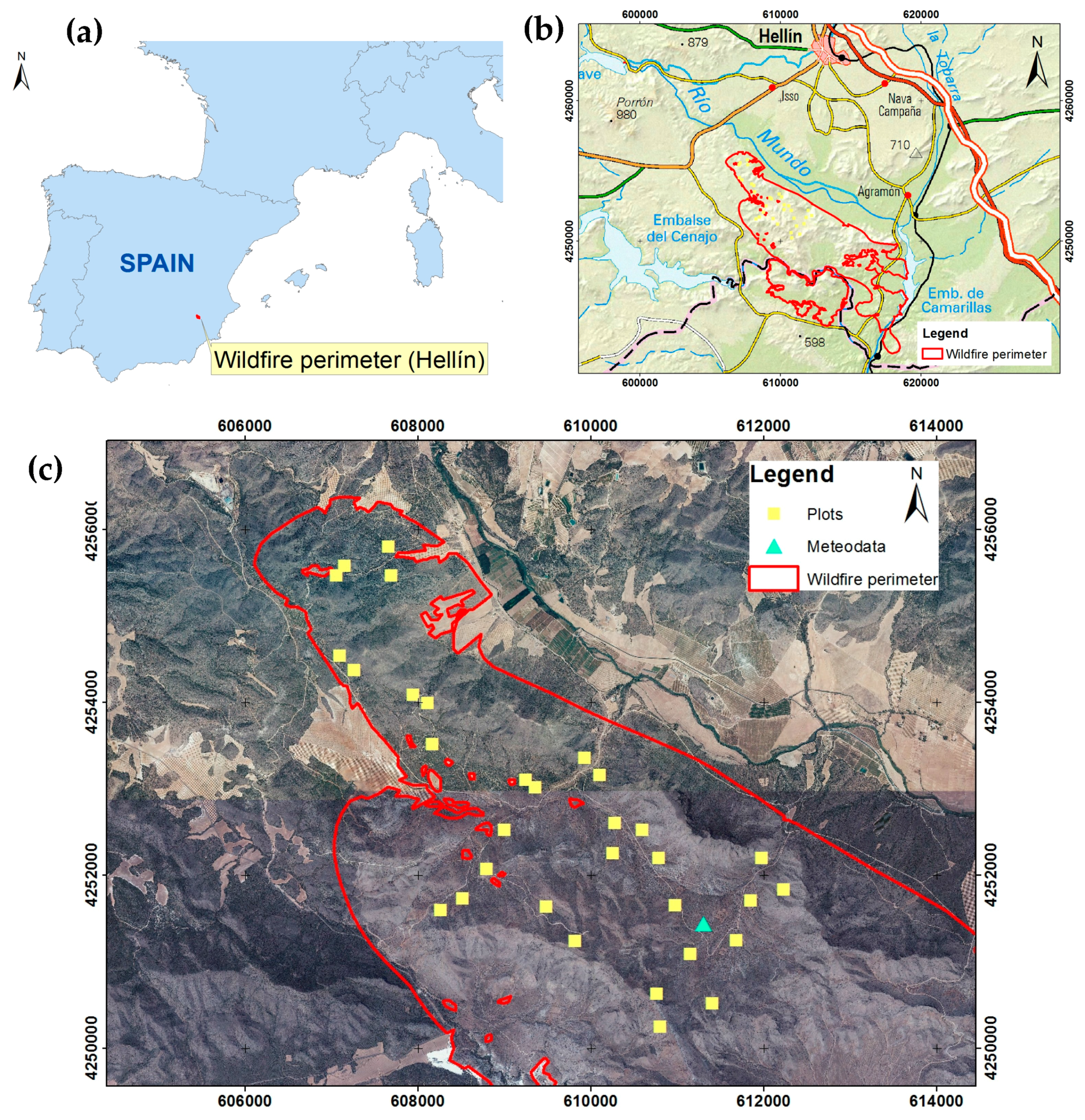 Forests 08 00353 g001 Forests 08 00353 g001