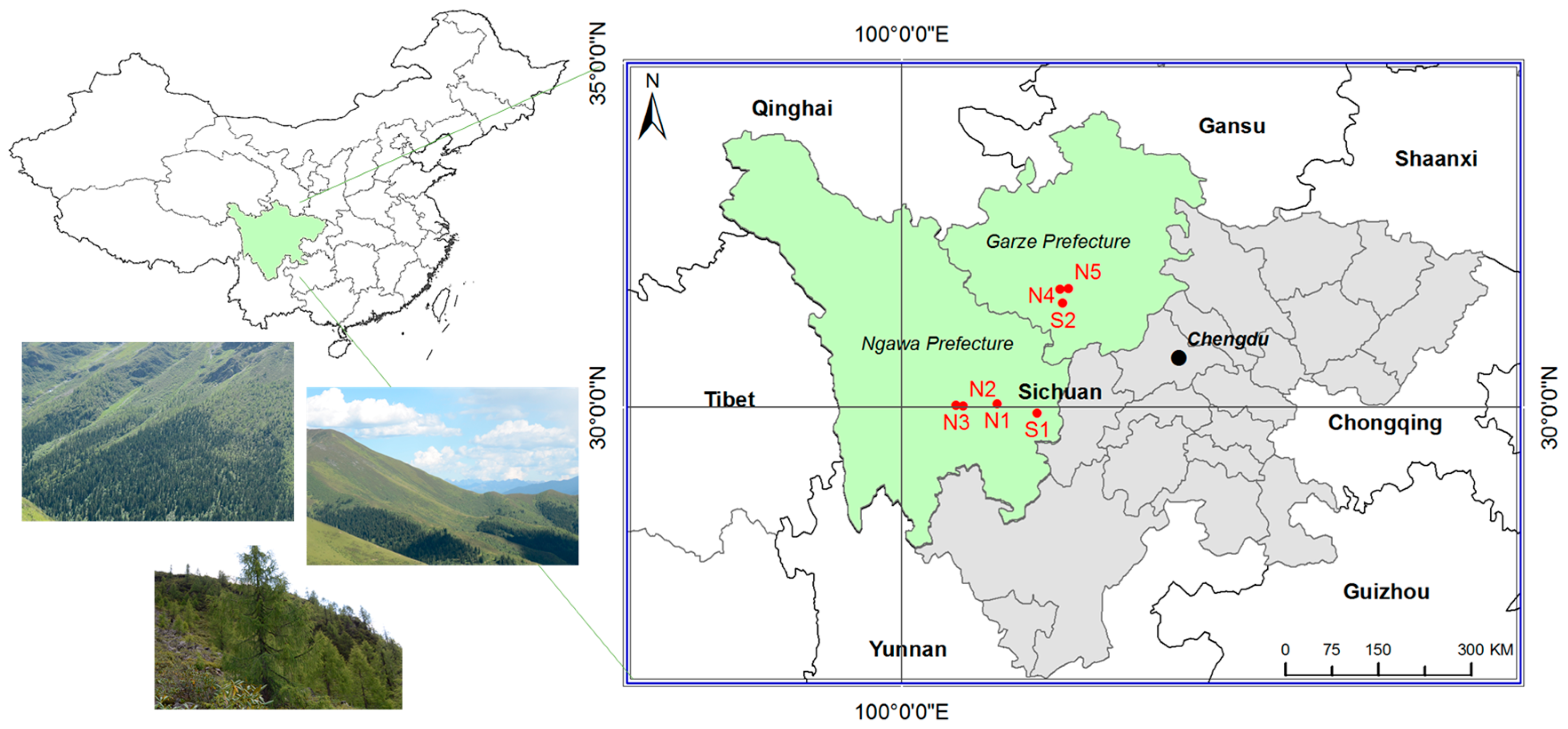 Forests 08 00356 g001