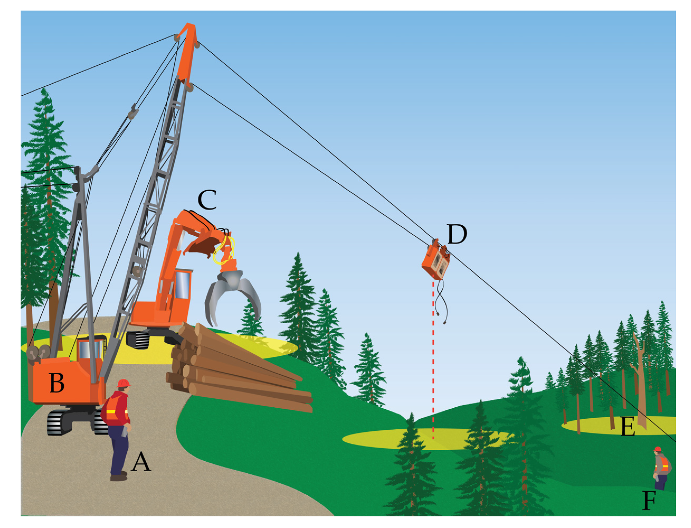 Forests 08 00357 g003