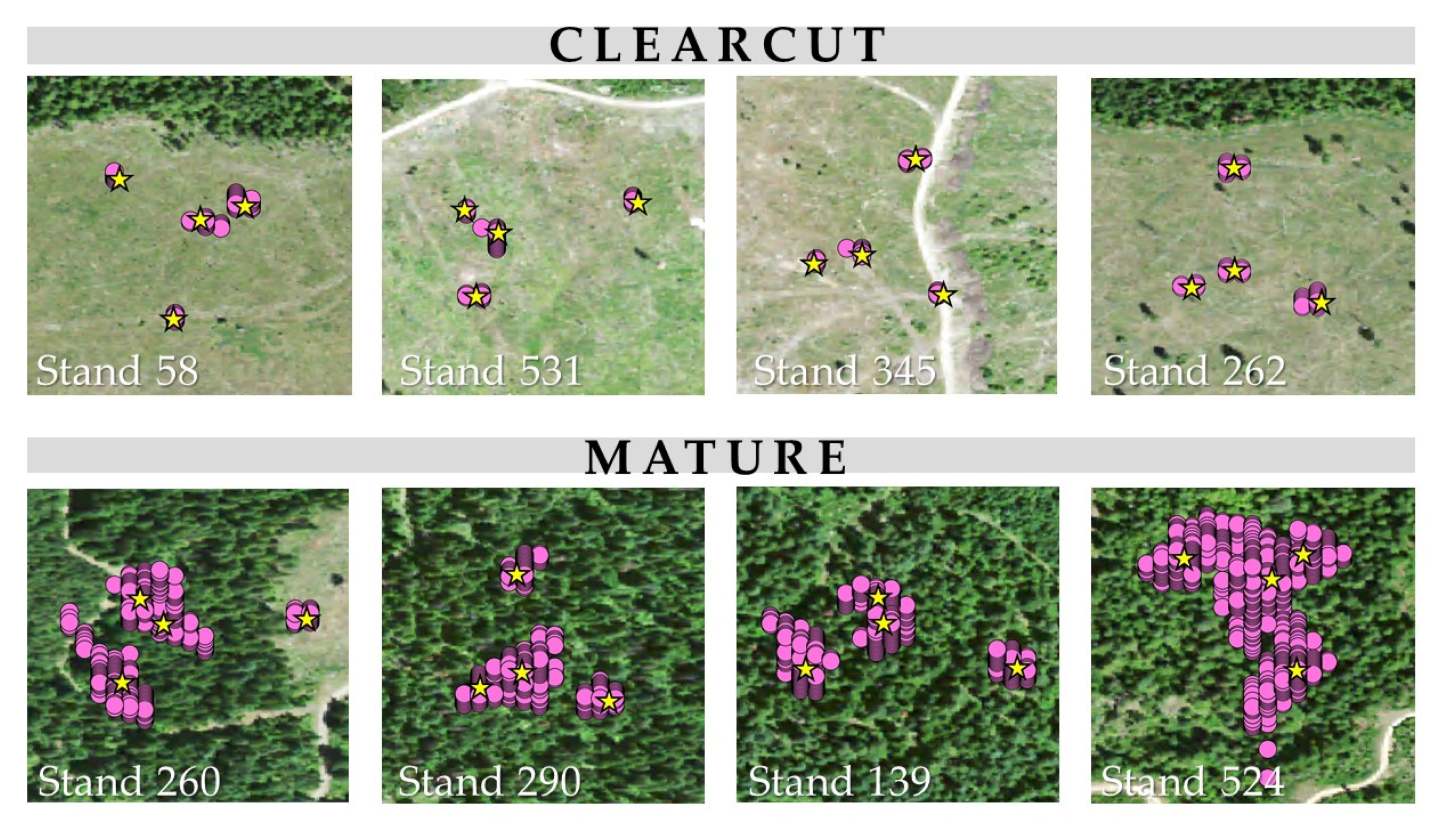 Forests 08 00357 g005