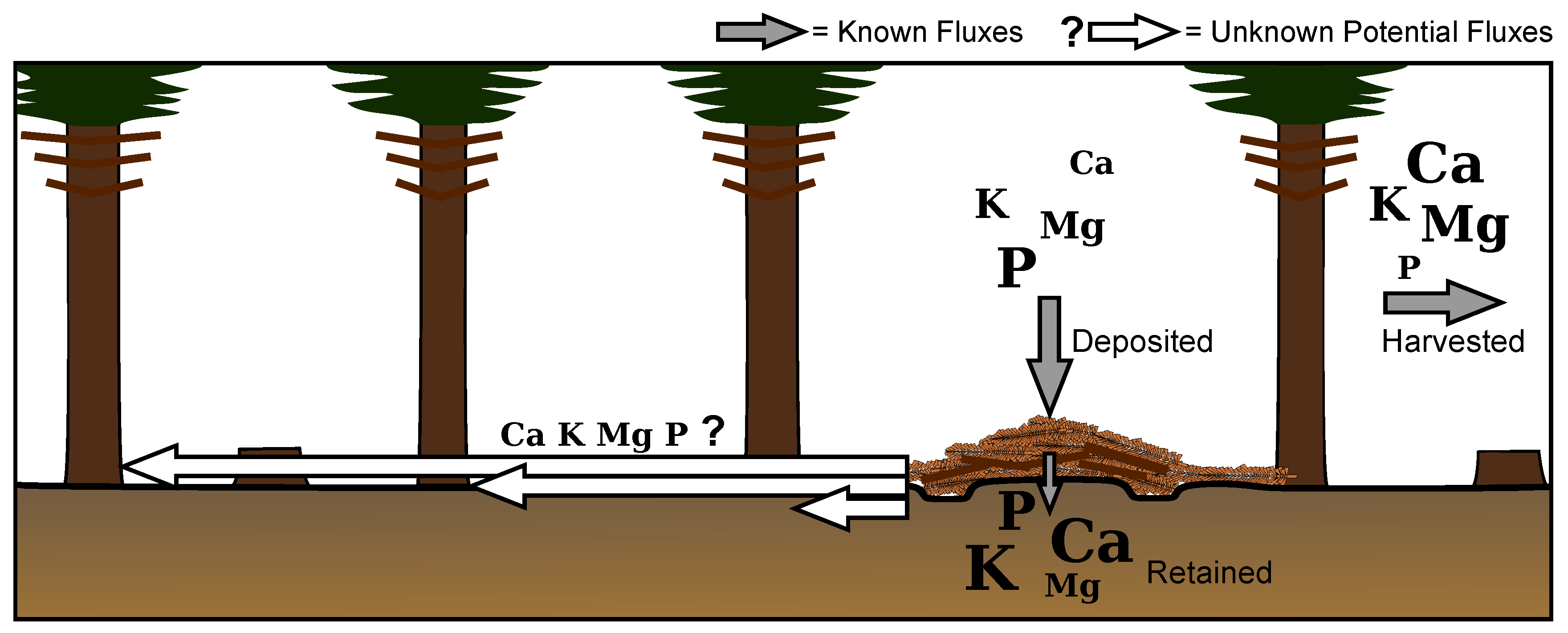 Forests 08 00358 g006