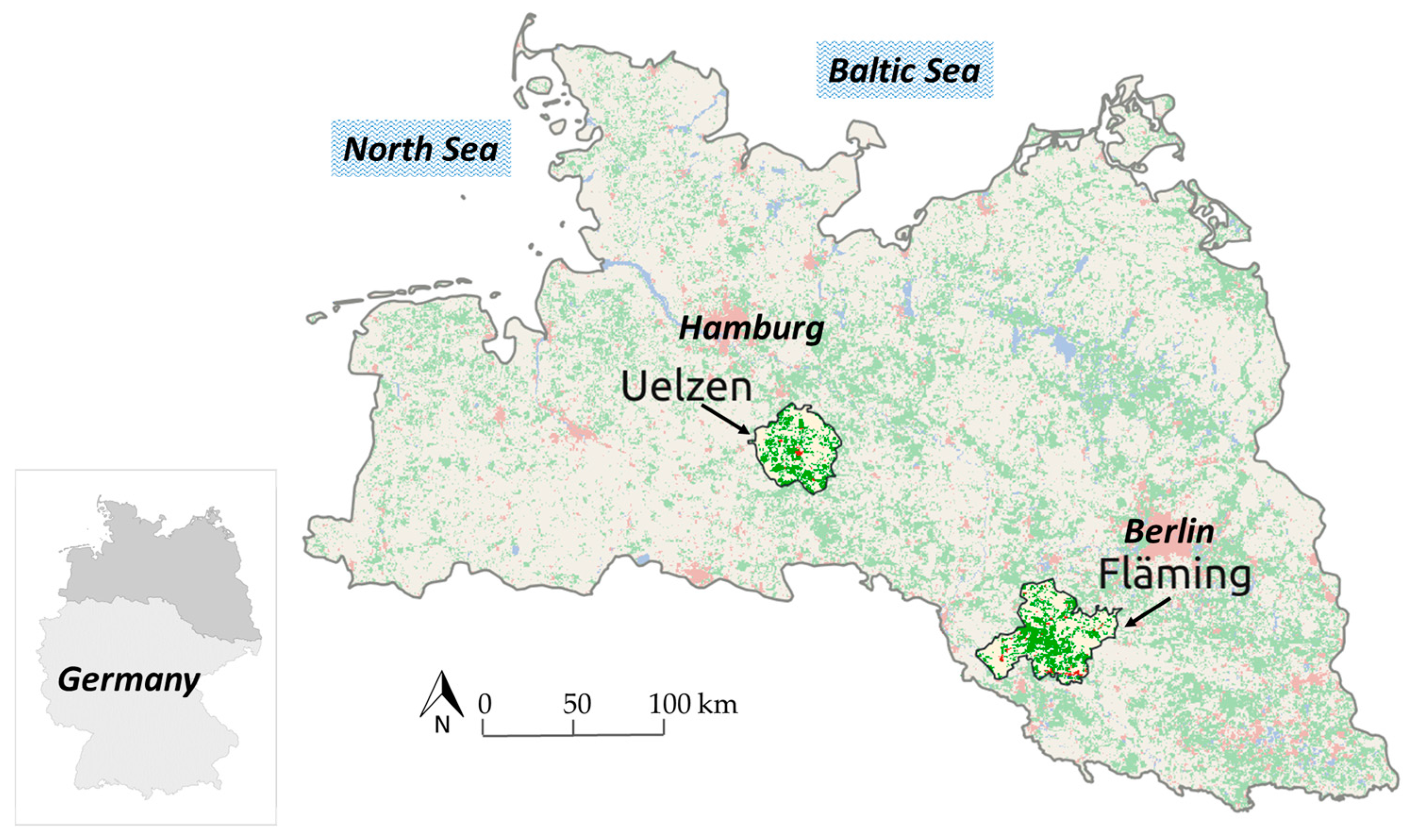 Forests 08 00363 g001