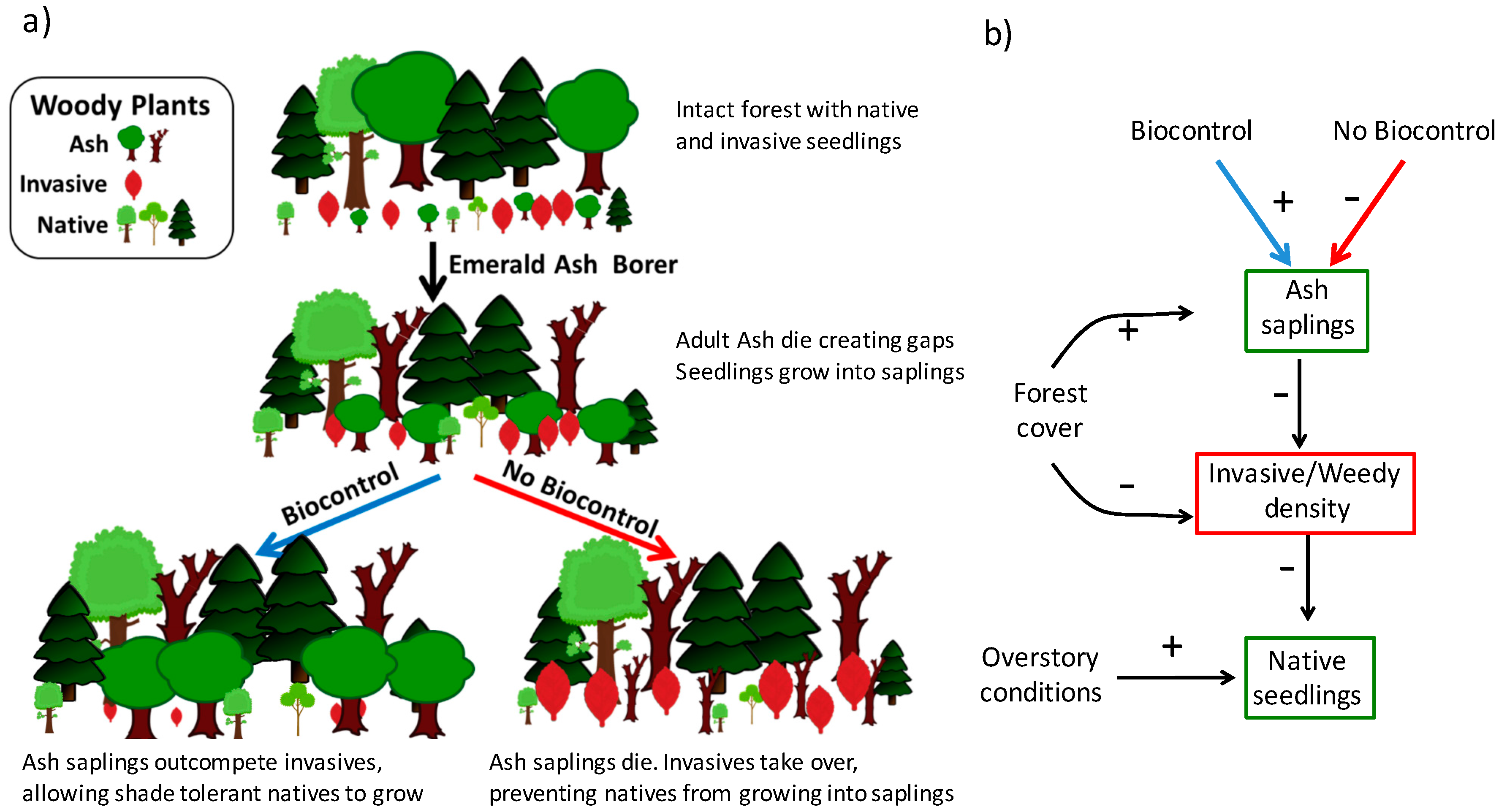 Forests 08 00369 g001 Forests 08 00369 g001