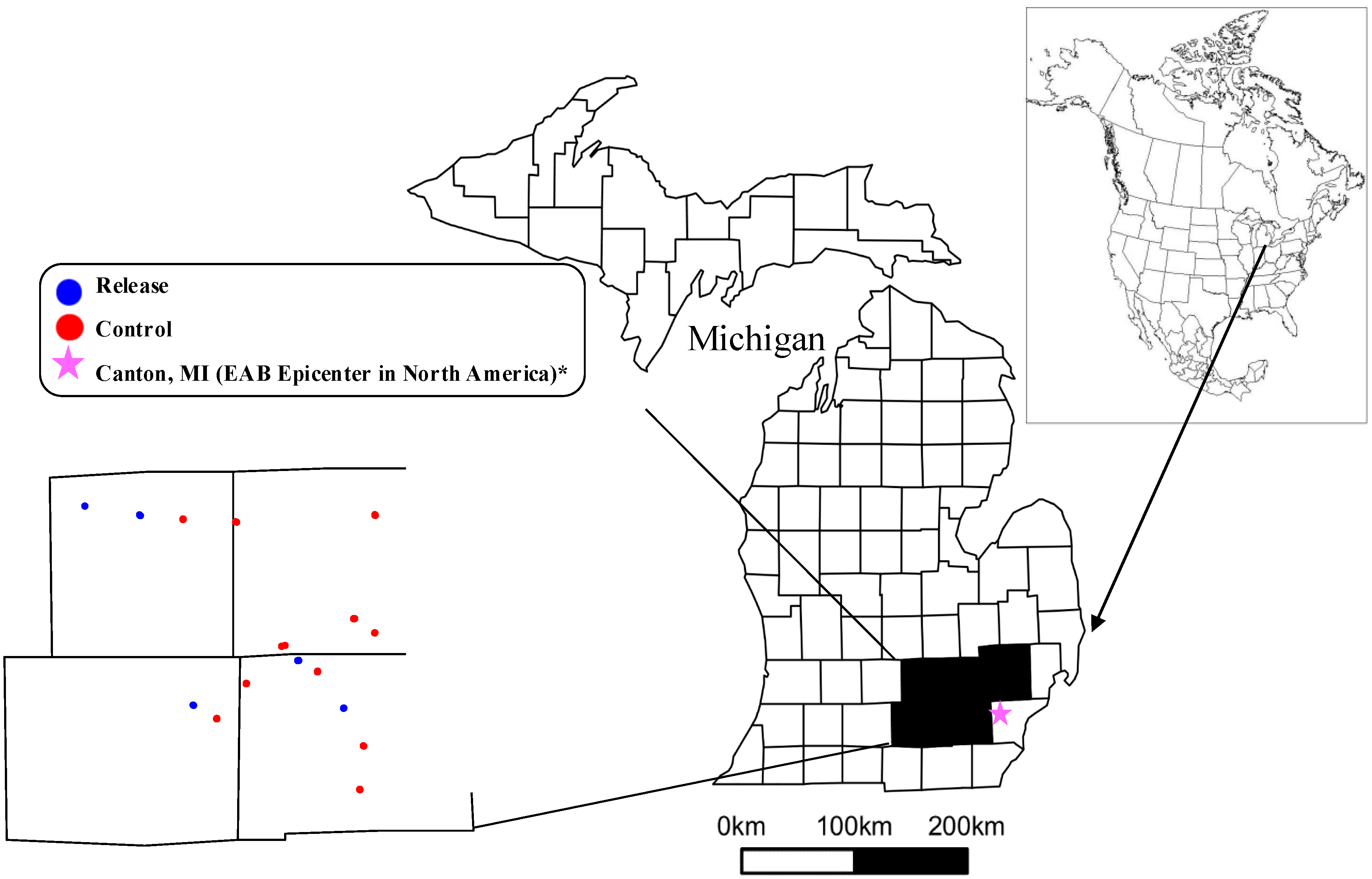 Forests 08 00369 g002 Forests 08 00369 g002
