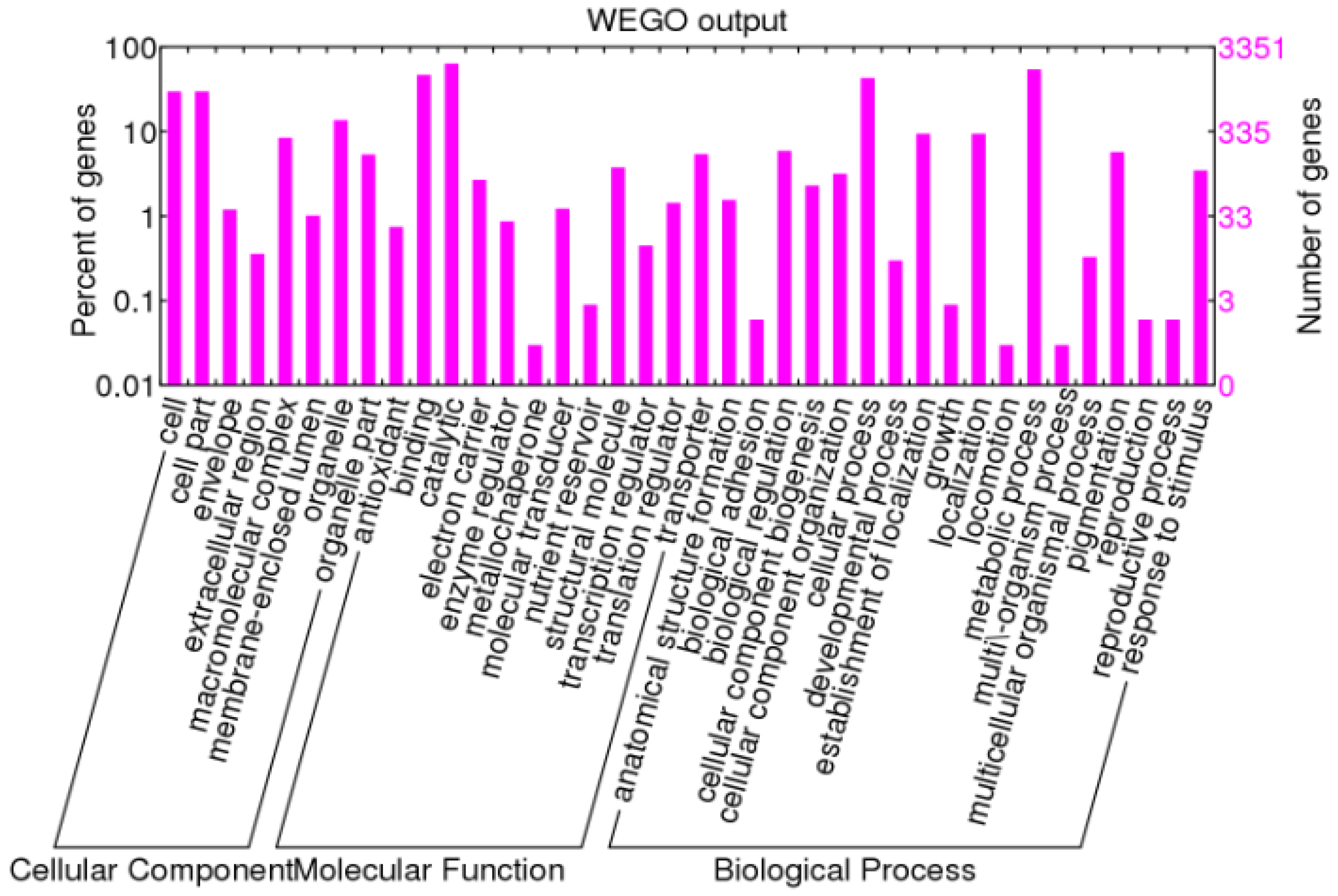 Forests 08 00374 g001