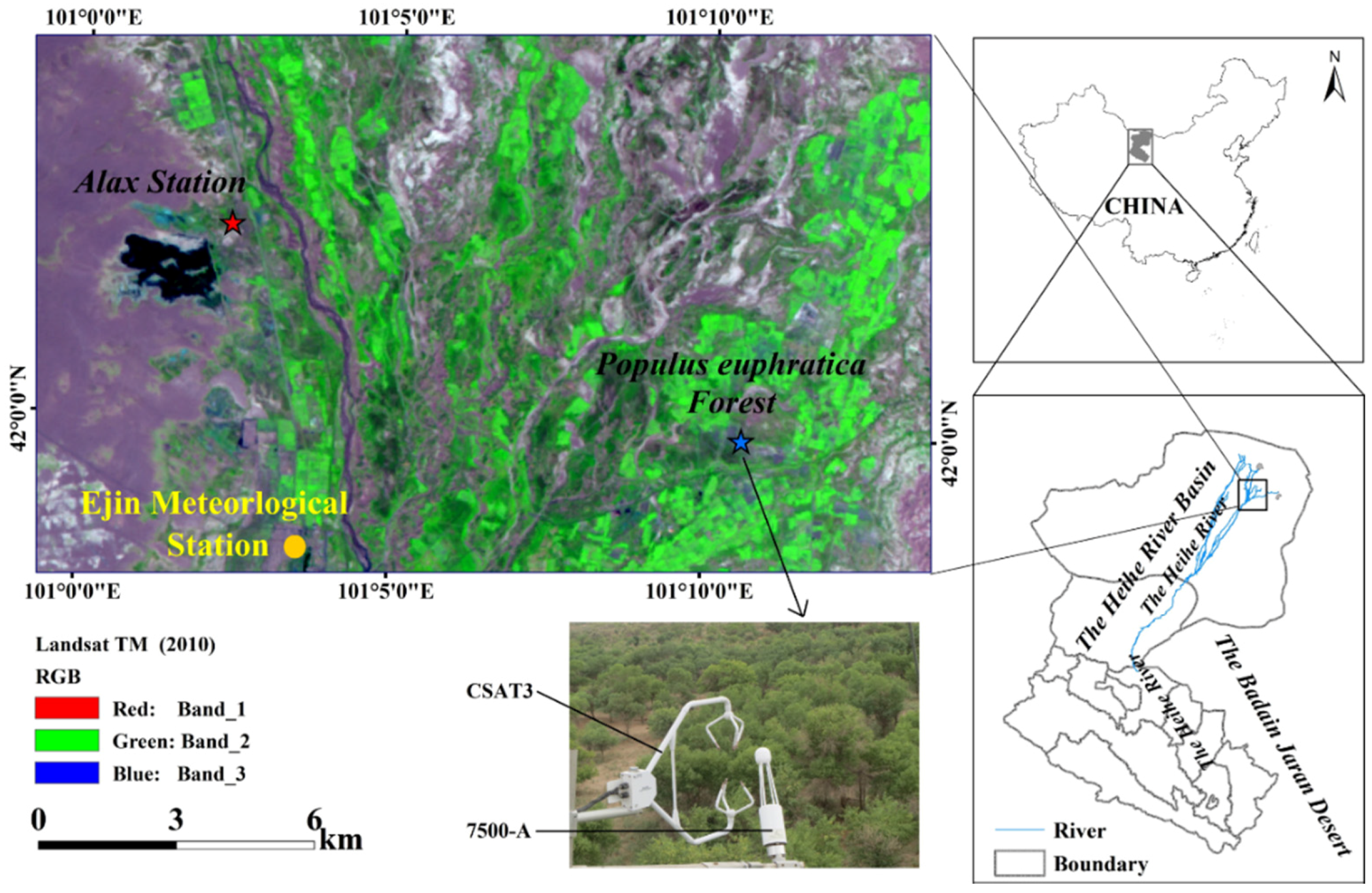 Forests 08 00379 g001 Forests 08 00379 g001