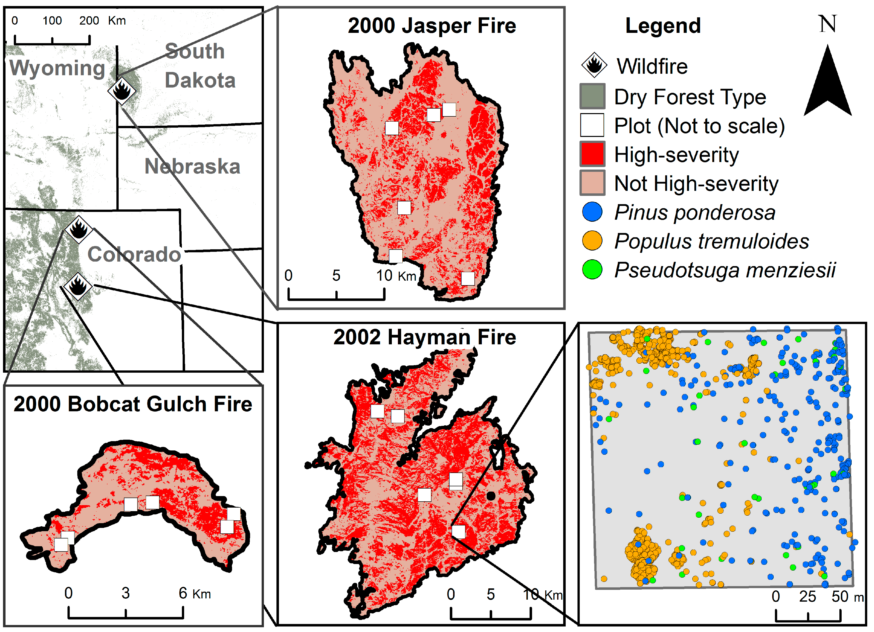 Forests 08 00391 g001