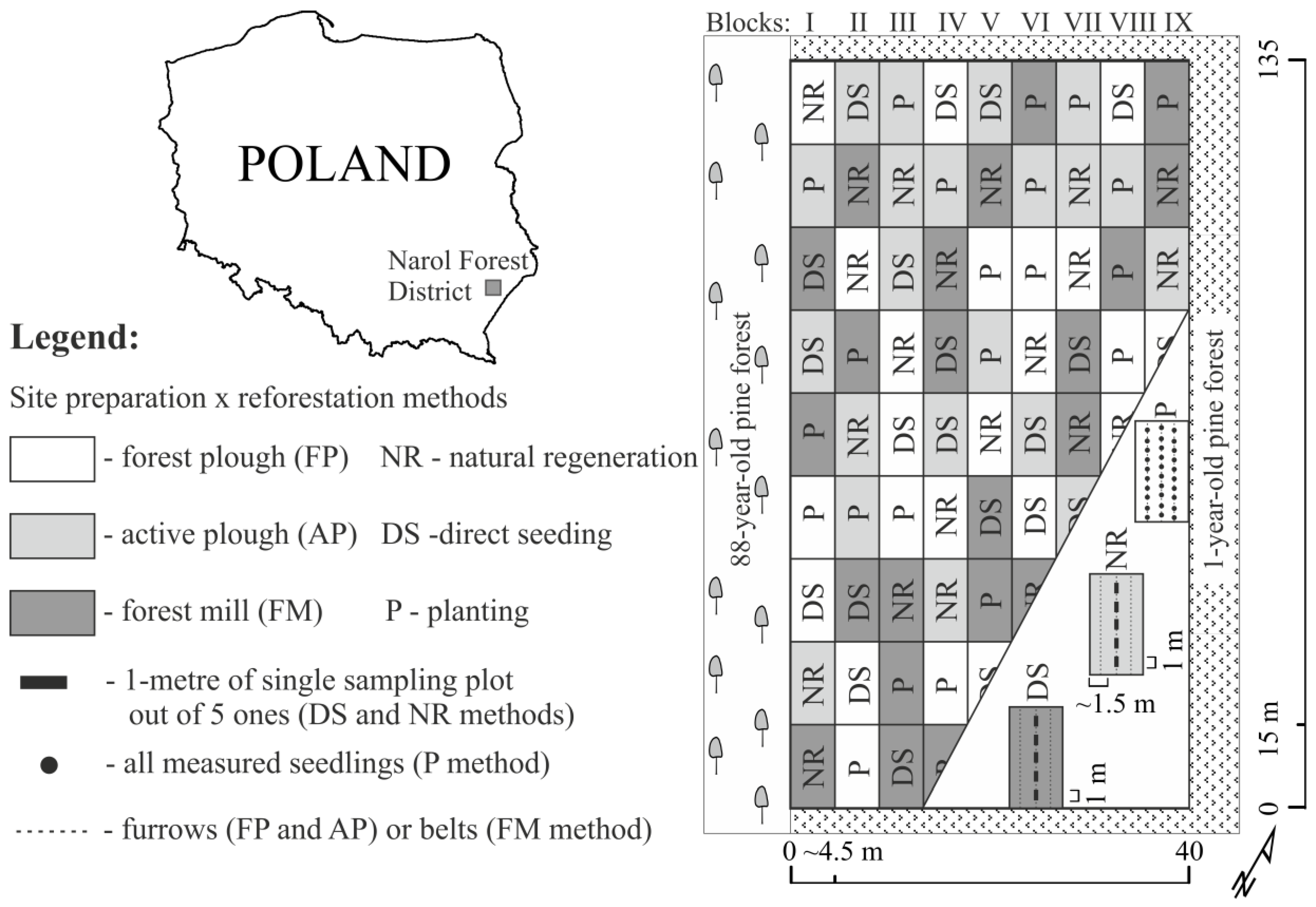 Forests 08 00421 g001