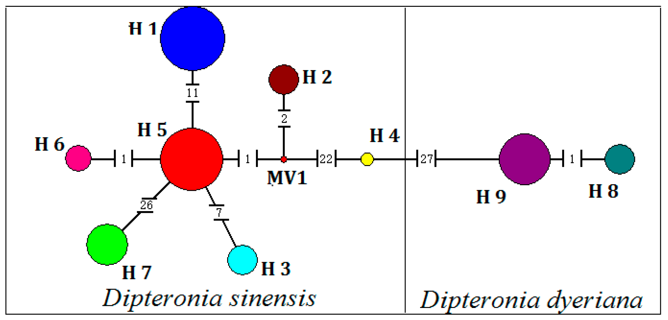 Forests 08 00424 g002