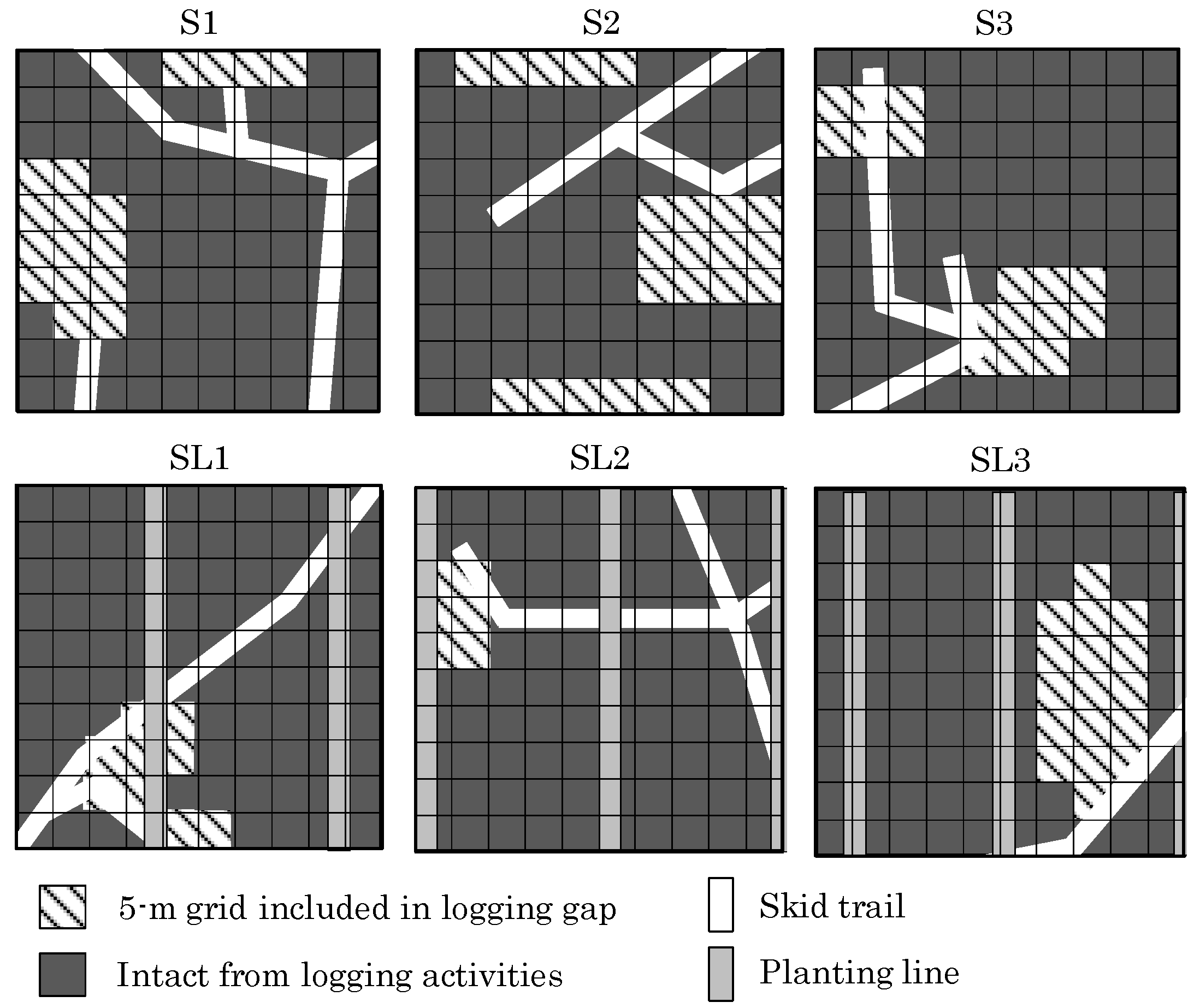 Forests 08 00425 g002