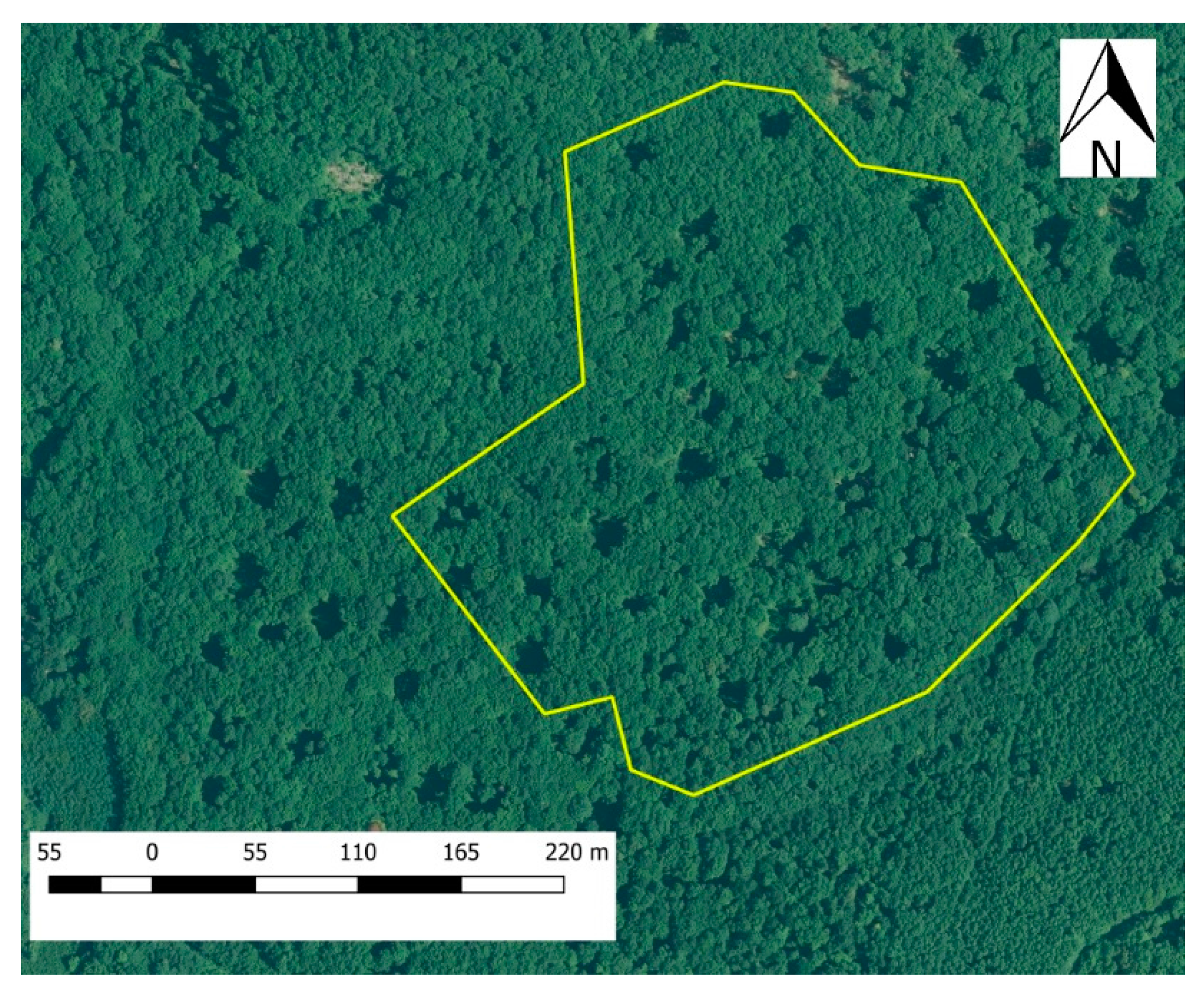 Forests 08 00426 g003 Forests 08 00426 g003