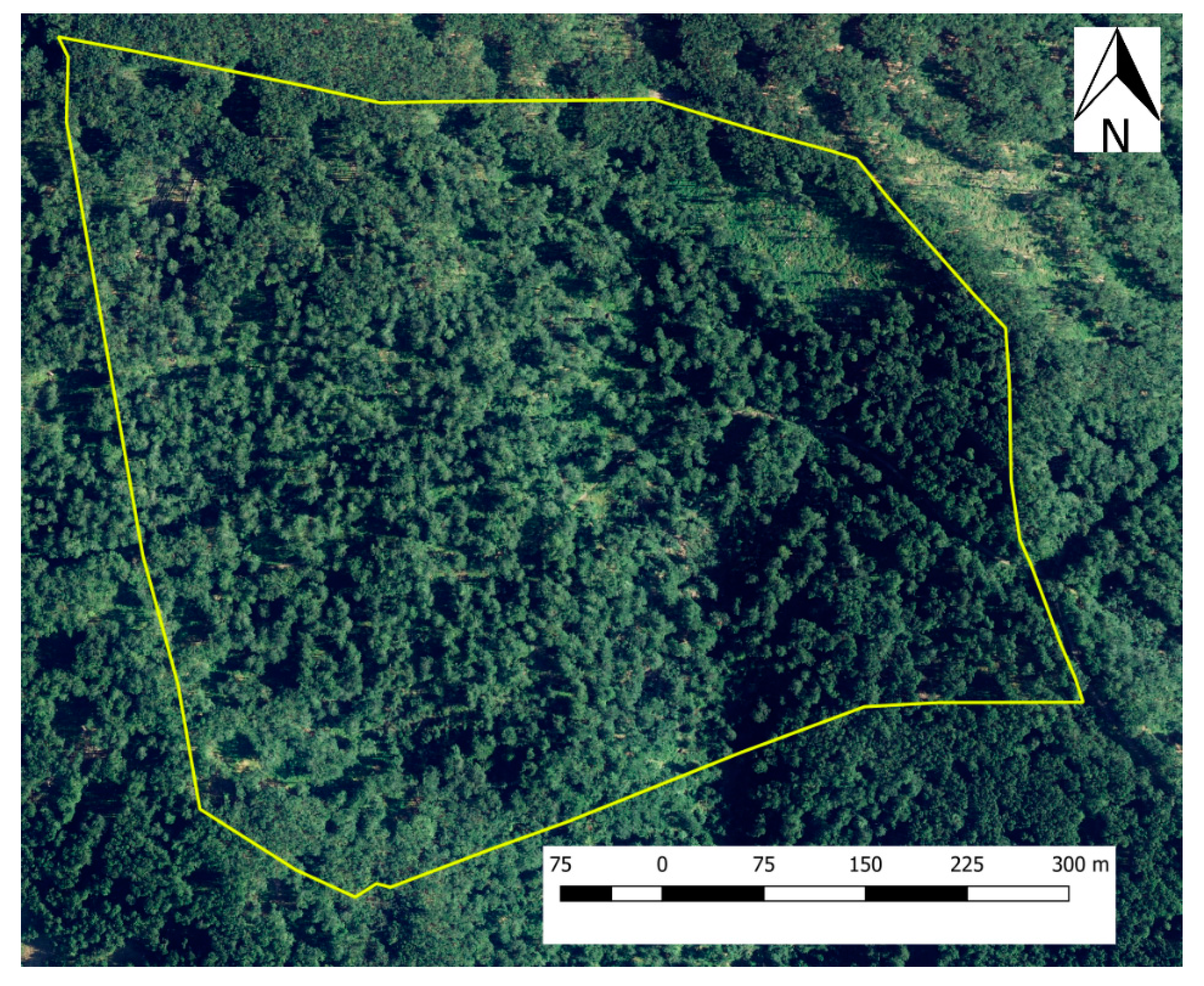 Forests 08 00426 g004 Forests 08 00426 g004