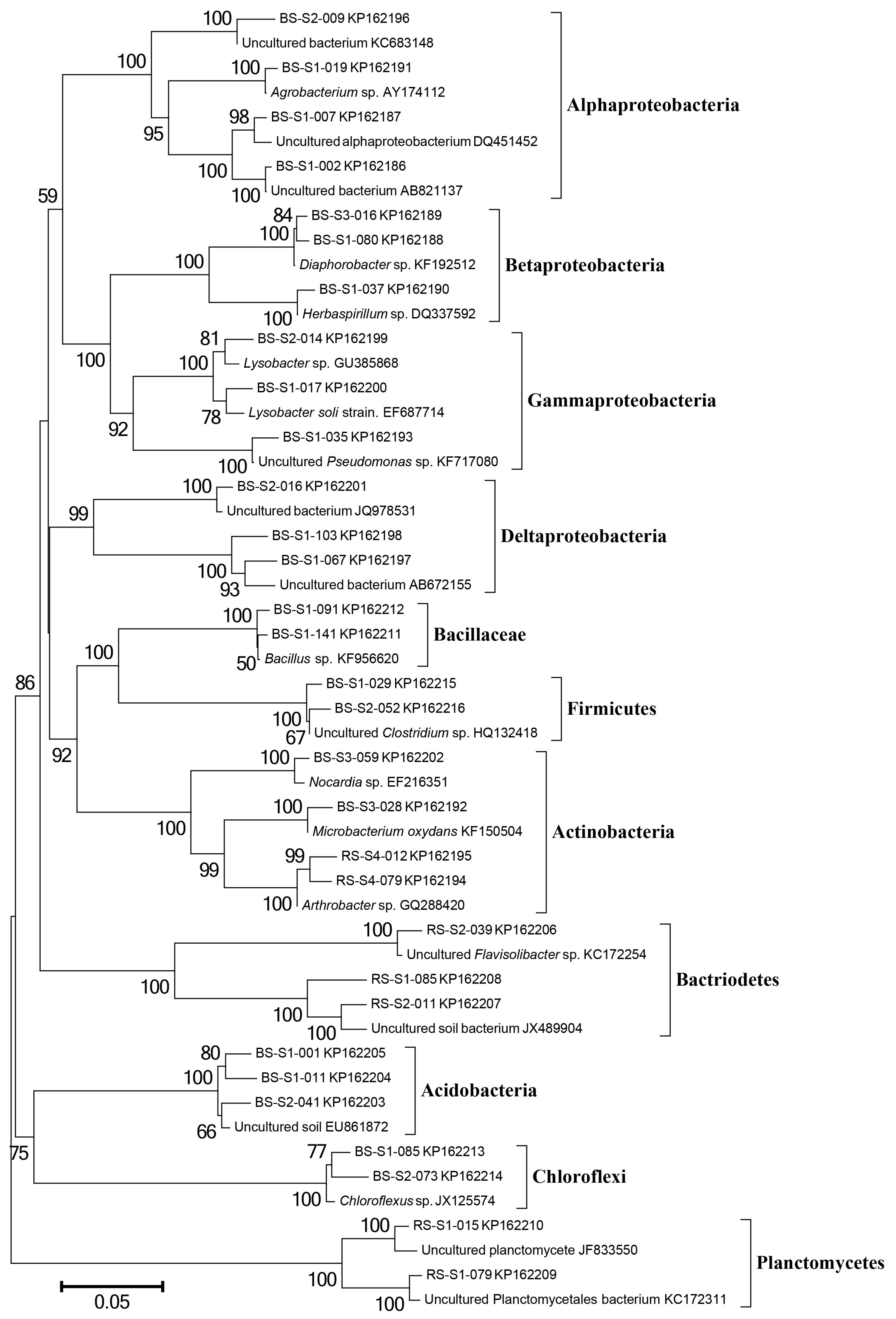 Forests 08 00430 g003