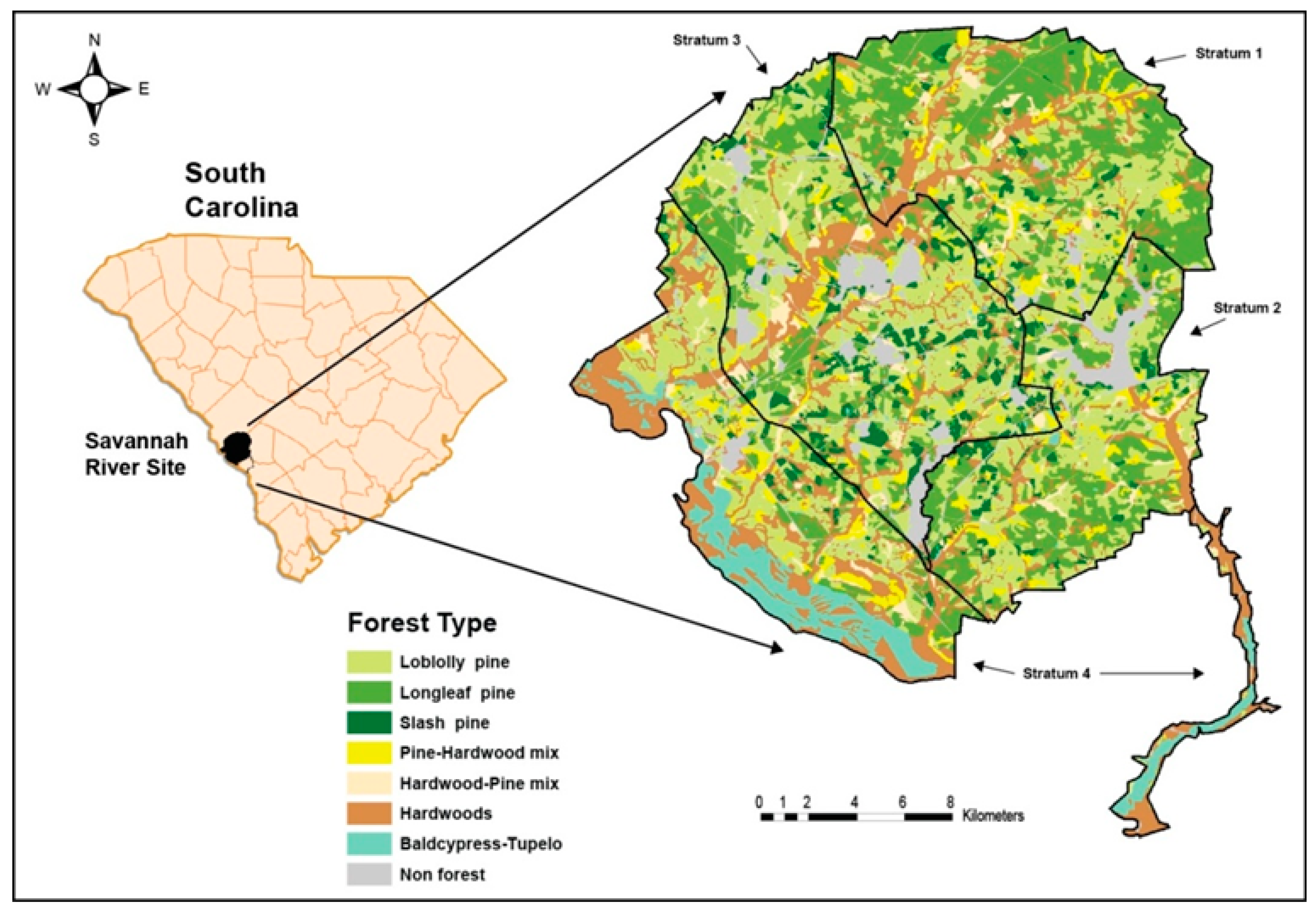 Forests 08 00444 g001