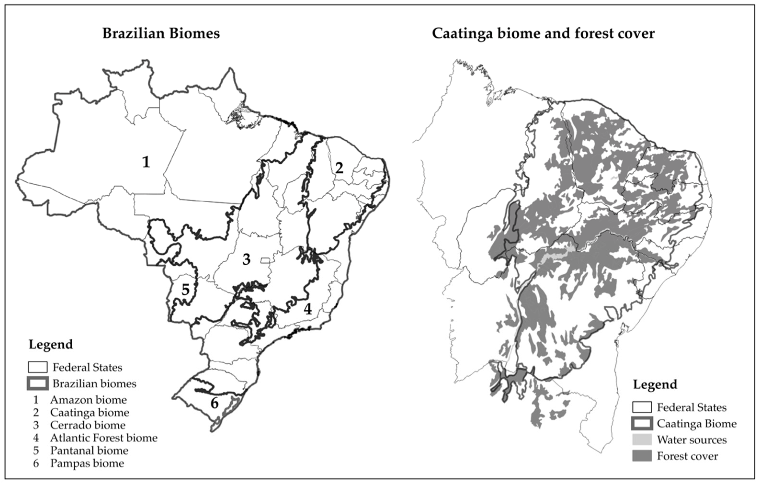 Forests 08 00454 g001 Forests 08 00454 g001