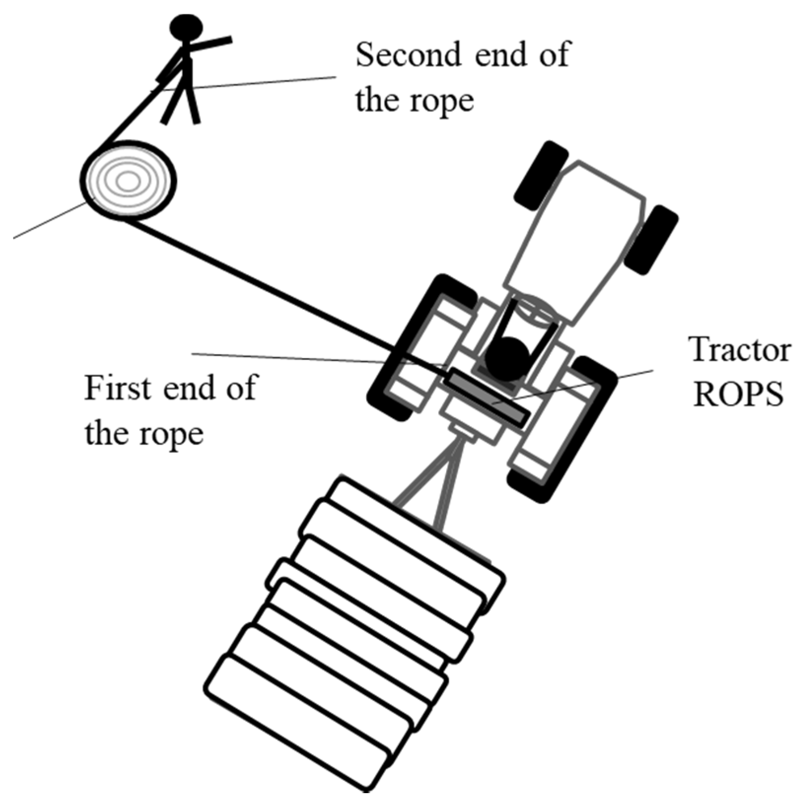 Forests 08 00456 g002