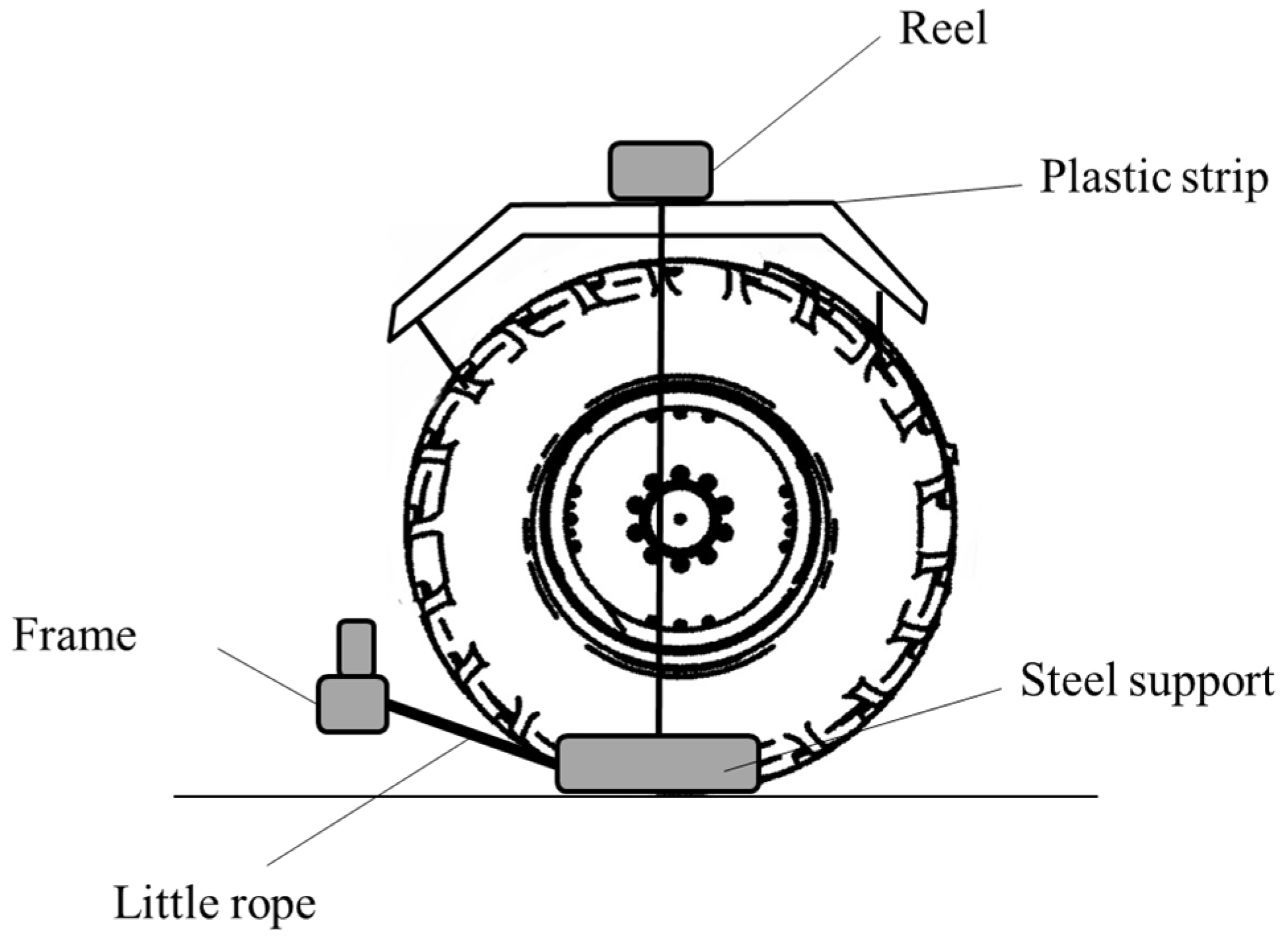 Forests 08 00456 g003