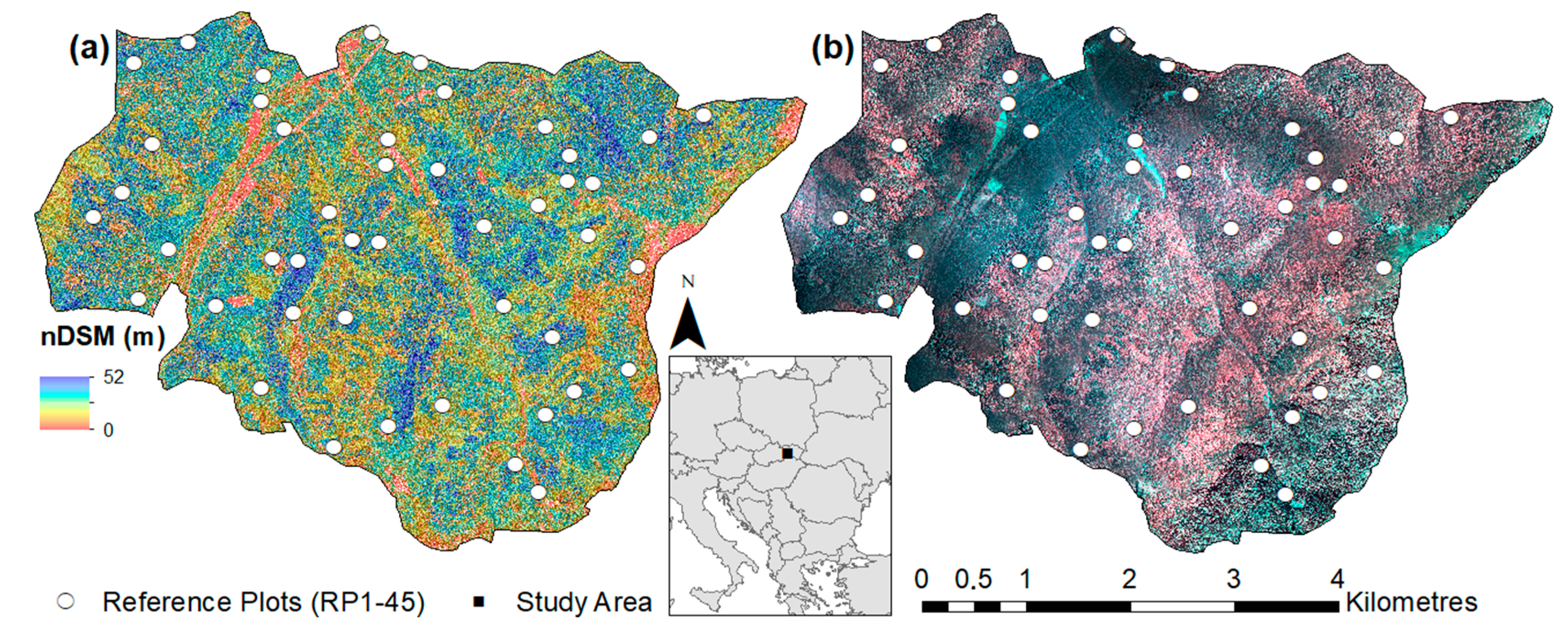 Forests 08 00467 g001